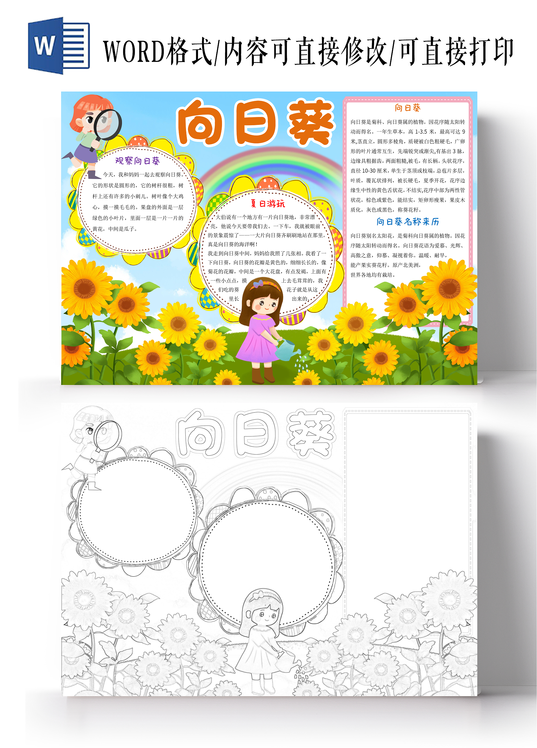 蓝色卡通向日葵小报手抄报向日葵植物生长