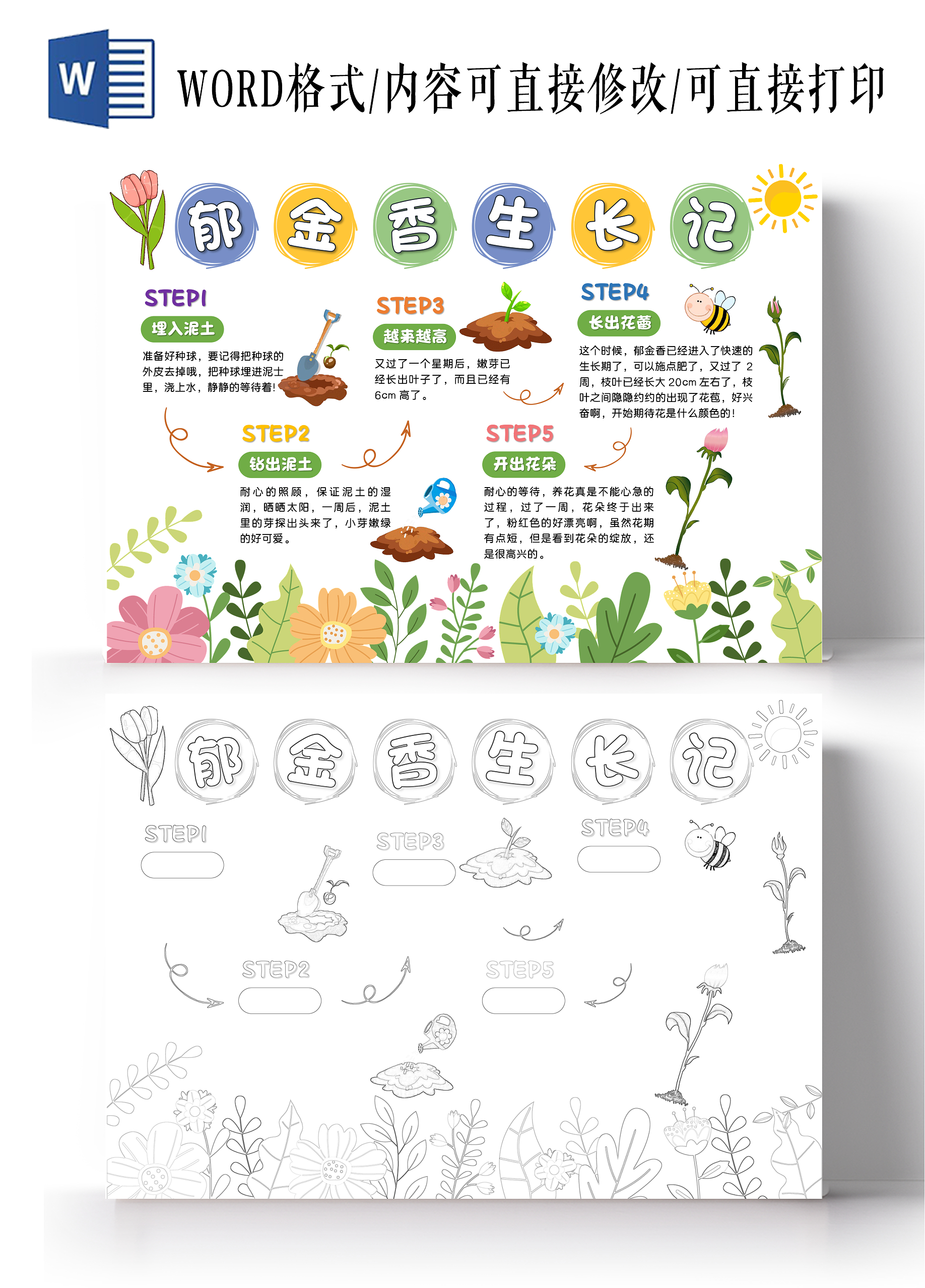 彩色卡通郁金香生长记小学生手抄报卡通小报手抄报植物植物生长
