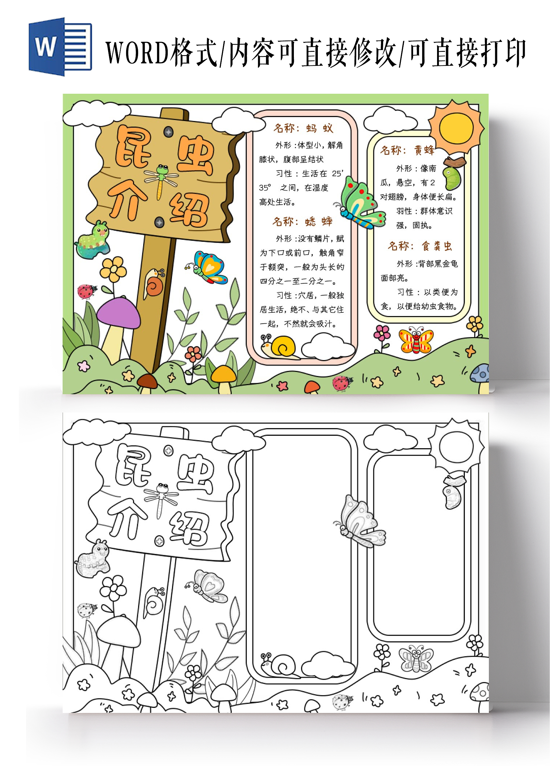 黄绿色卡通手绘昆虫介绍小报手抄报昆虫