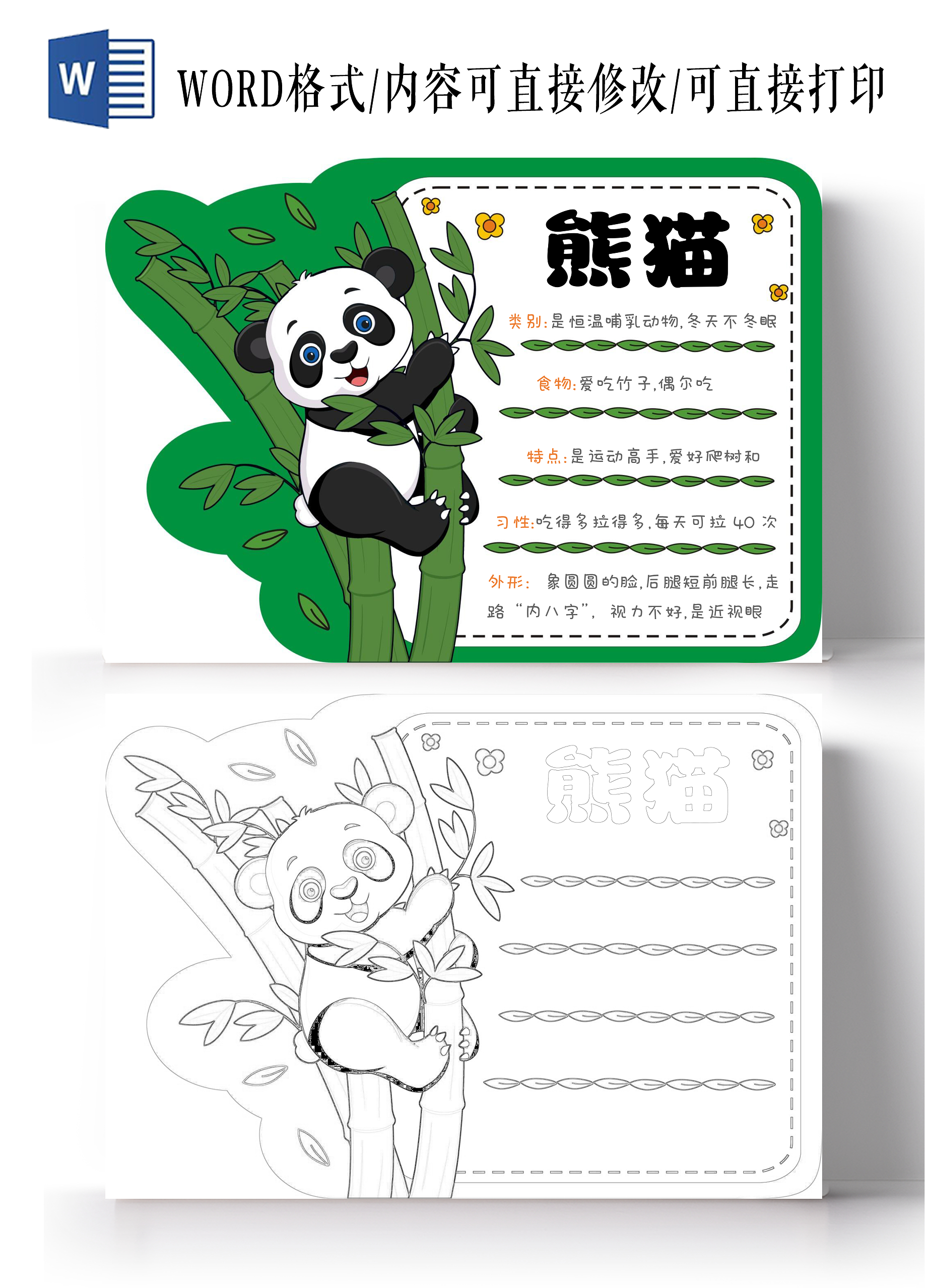 手绘卡通熊猫手抄报世界动物日读书卡