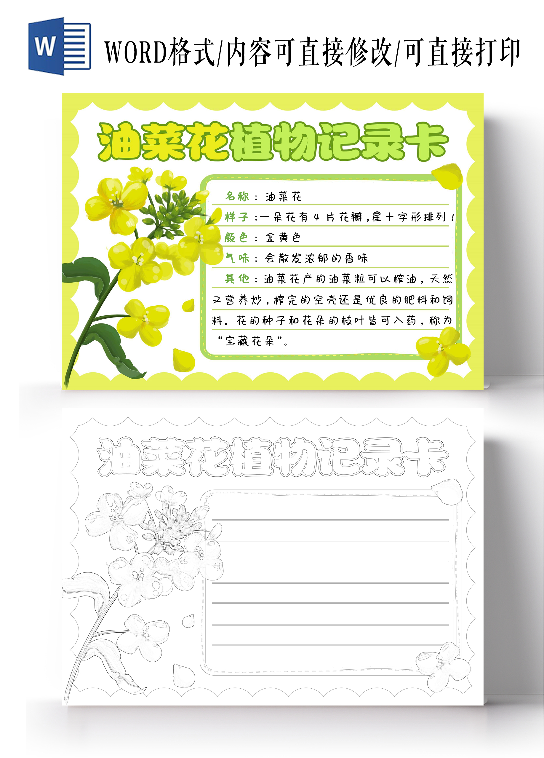 黄色手绘油菜花植物记录卡手绘小报手抄报植树节