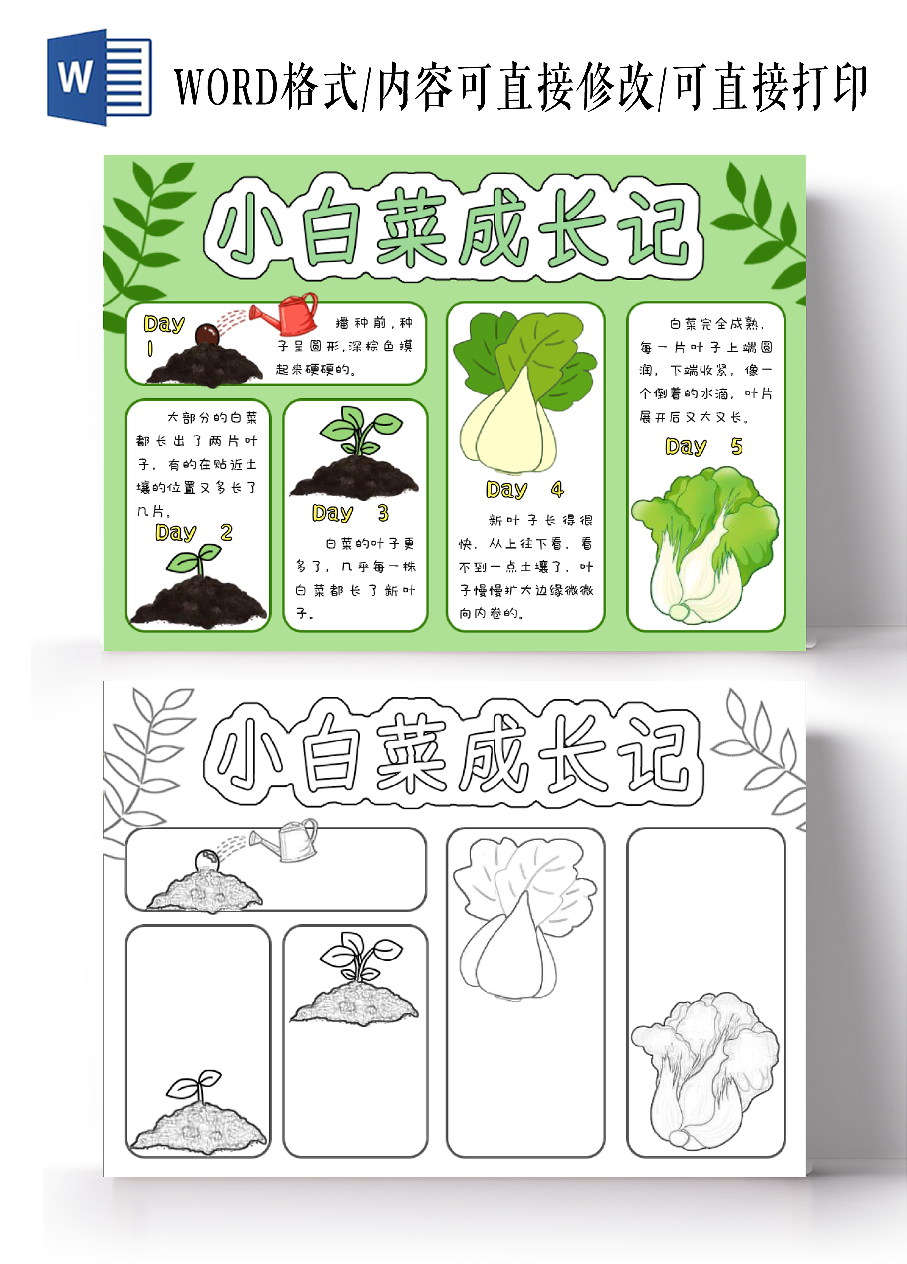 绿色背景边框卡通清新小白菜成长记小报手抄报白菜植树节