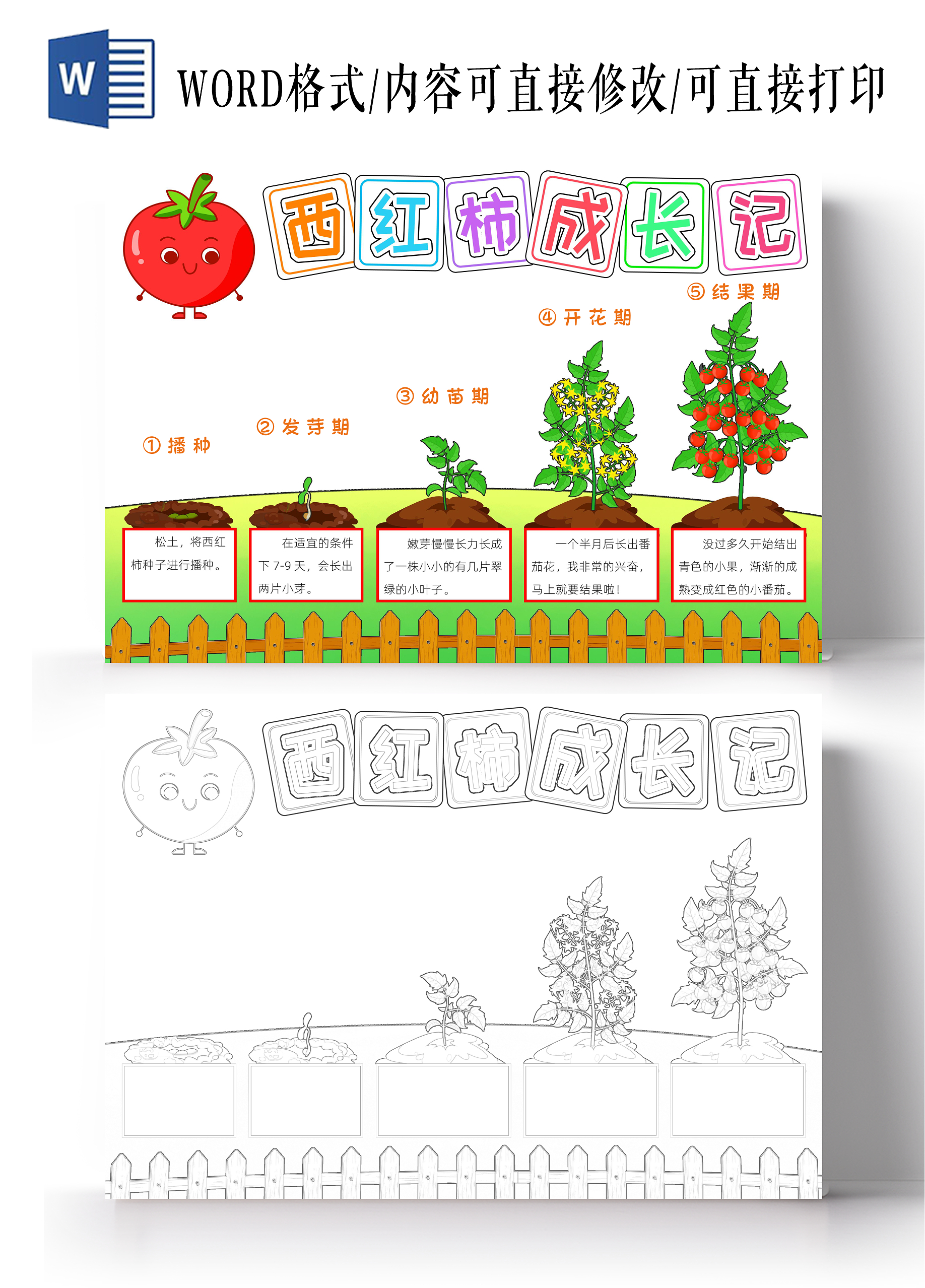 植物生长绿色卡通西红柿成长记小报手抄报小学生手抄报植树节