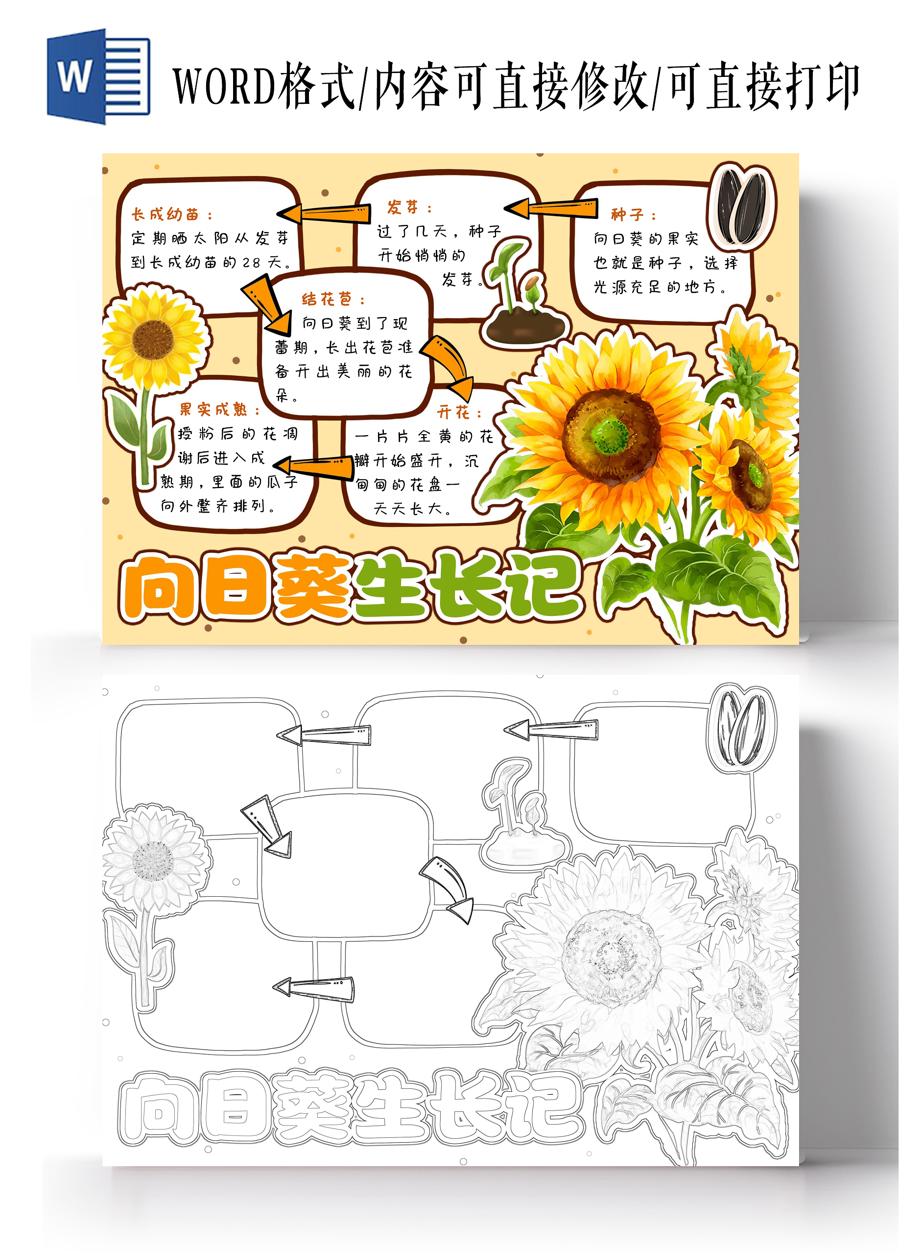 植物观察日记生长观察日记黄色手绘卡通向日葵生长记植物生长小报手抄报植树节