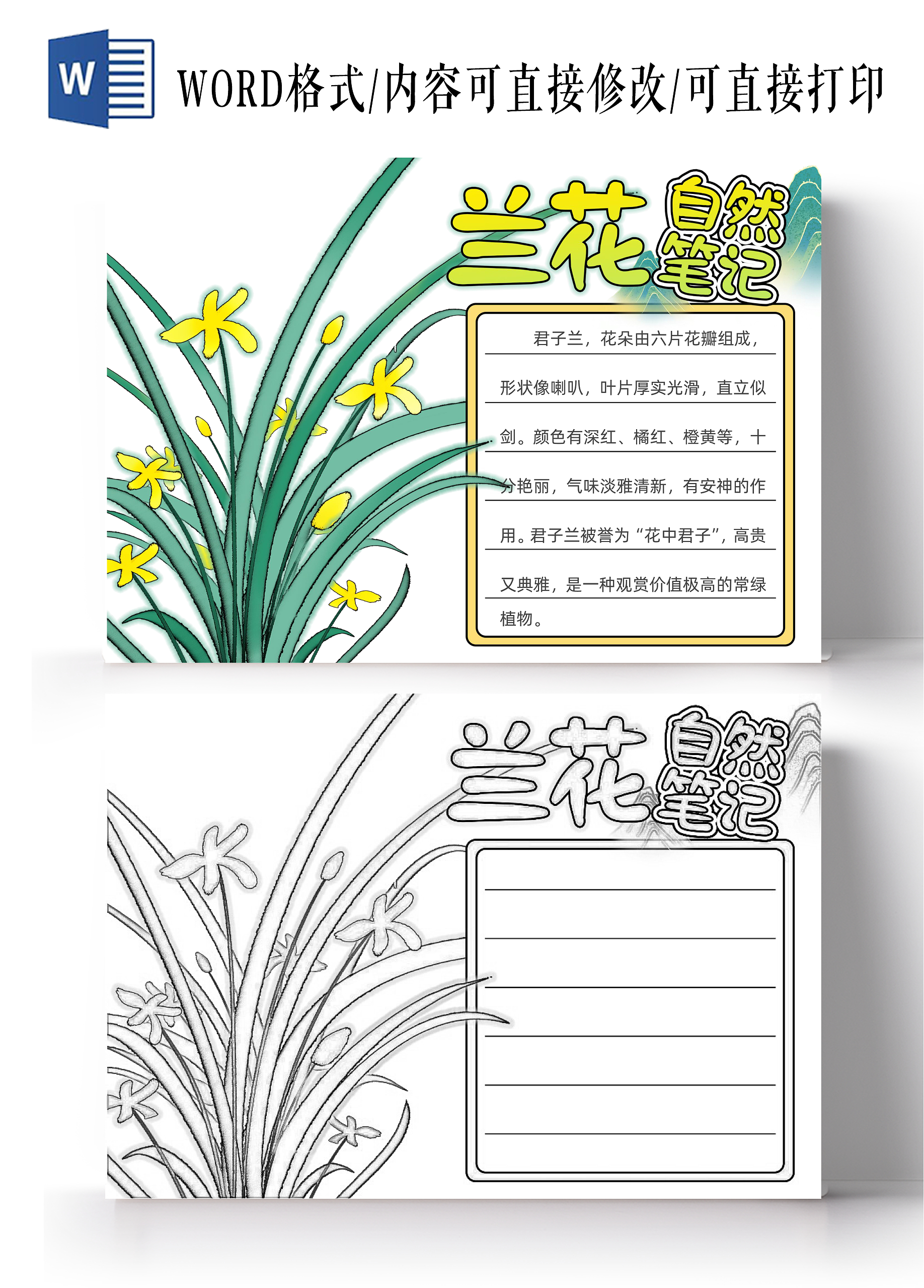 植物生长空白植物观察日记生长观察日记植物生长绿色卡通手绘简约兰花自然笔记知识读书手抄报植物记录卡