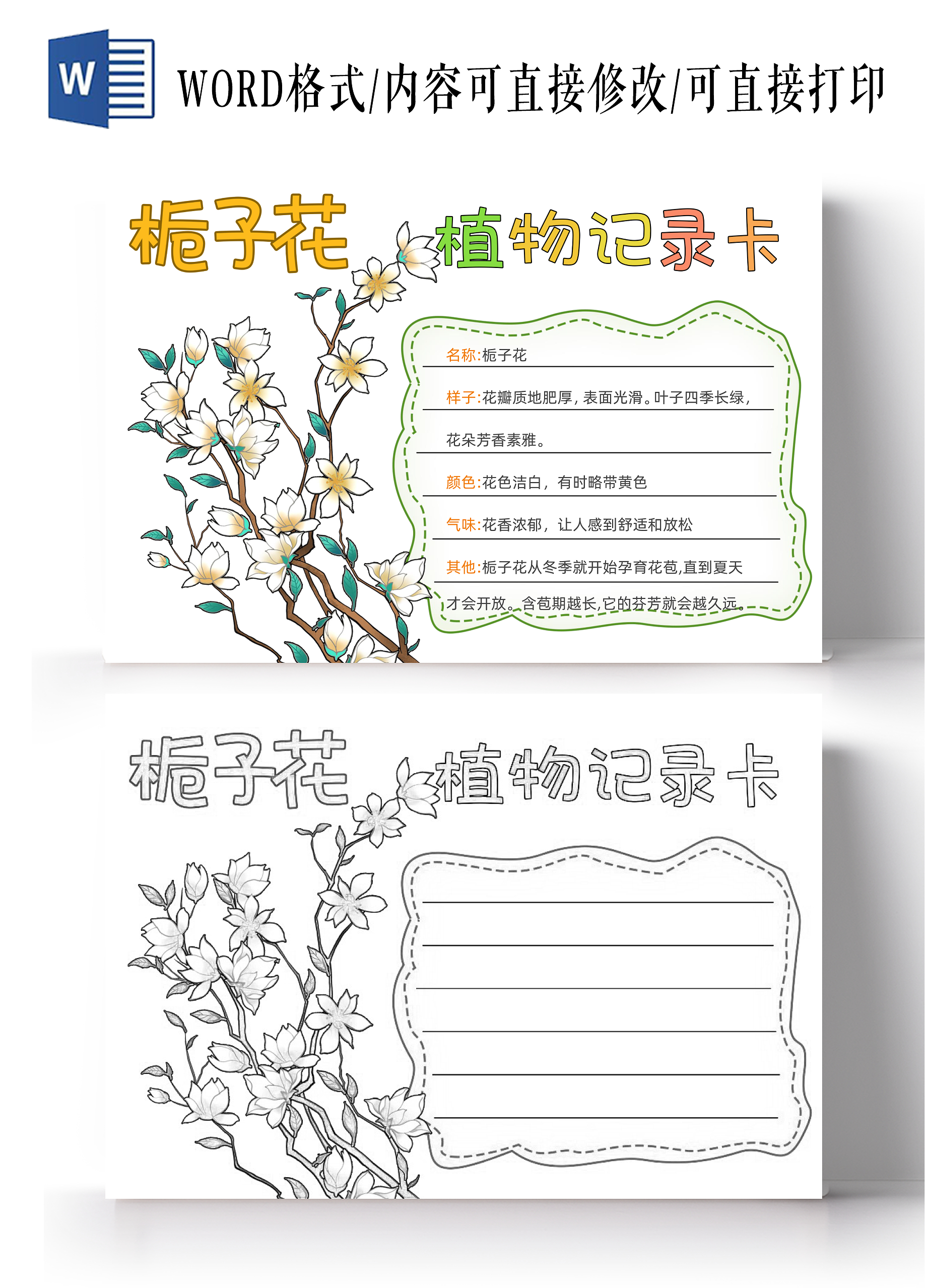 植物生长空白植物观察日记生长观察日记植物生长拜师手绘小清新简约栀子花植物记录卡手抄报