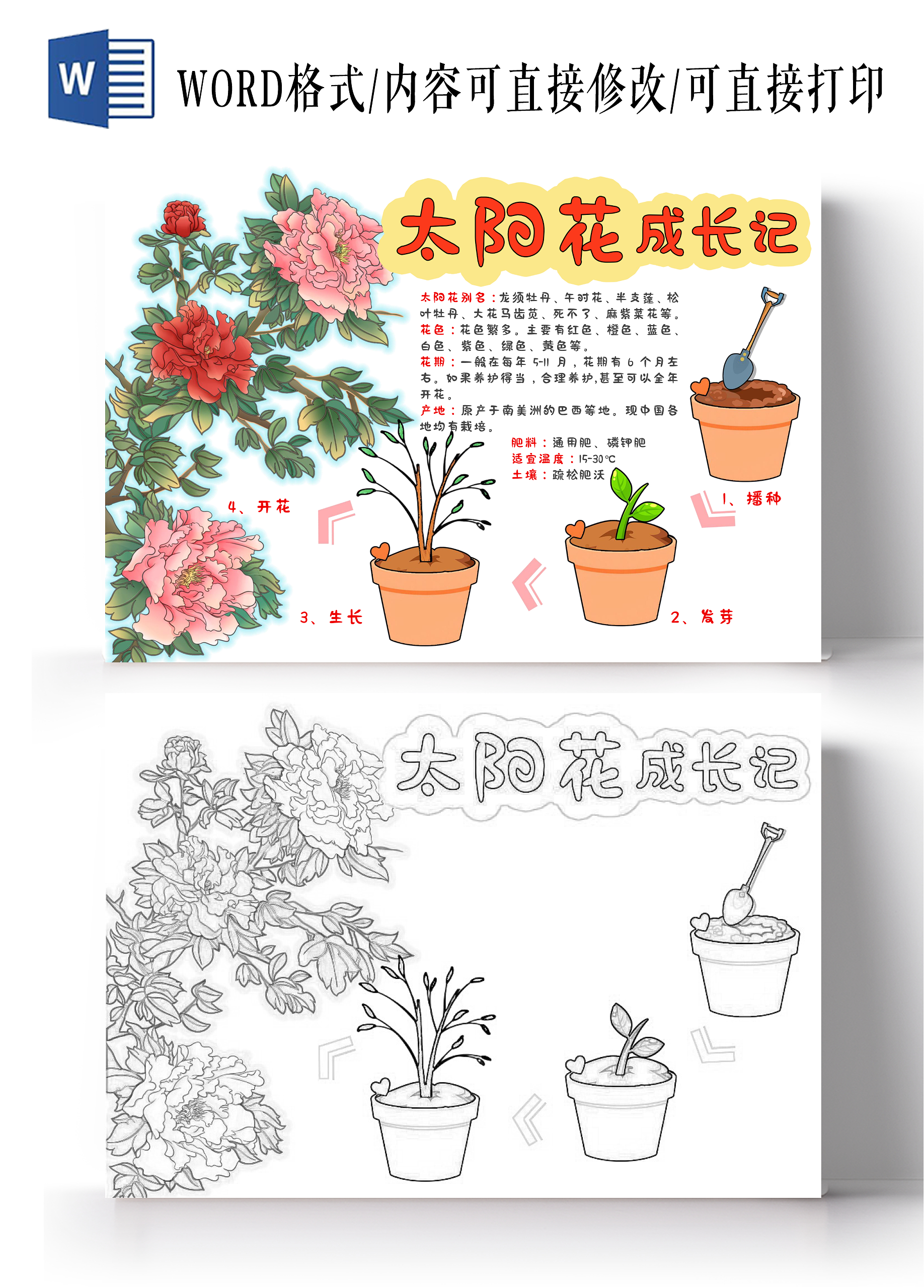 植物生长空白植物观察日记生长观察日记植物生长红色卡通手绘简约太阳花成长记知识分享手抄报植物记录卡