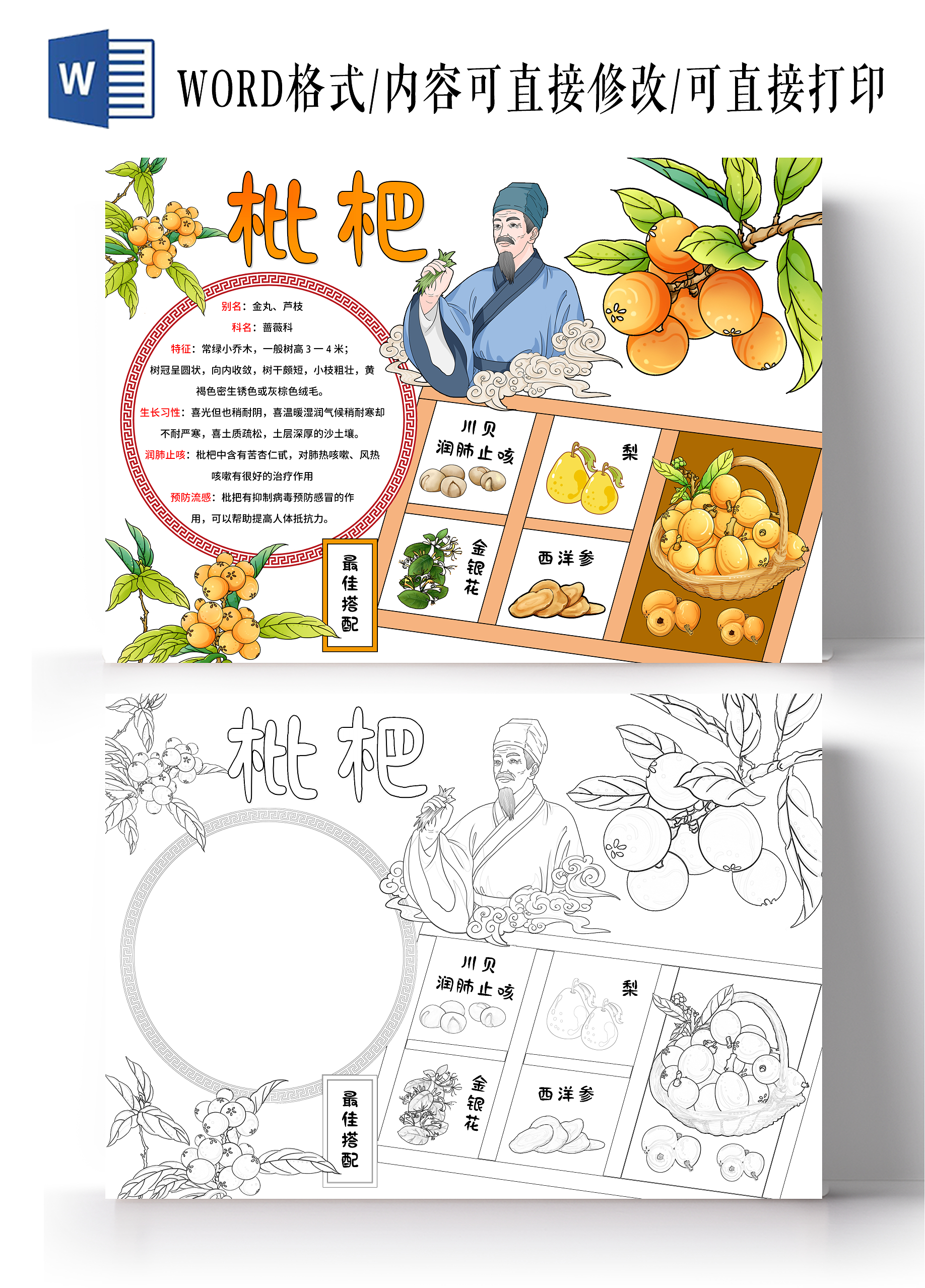 植物生长空白植物观察日记生长观察日记植物生长黄色卡通简约手绘枇杷枇杷树植物记录卡小学生手抄报