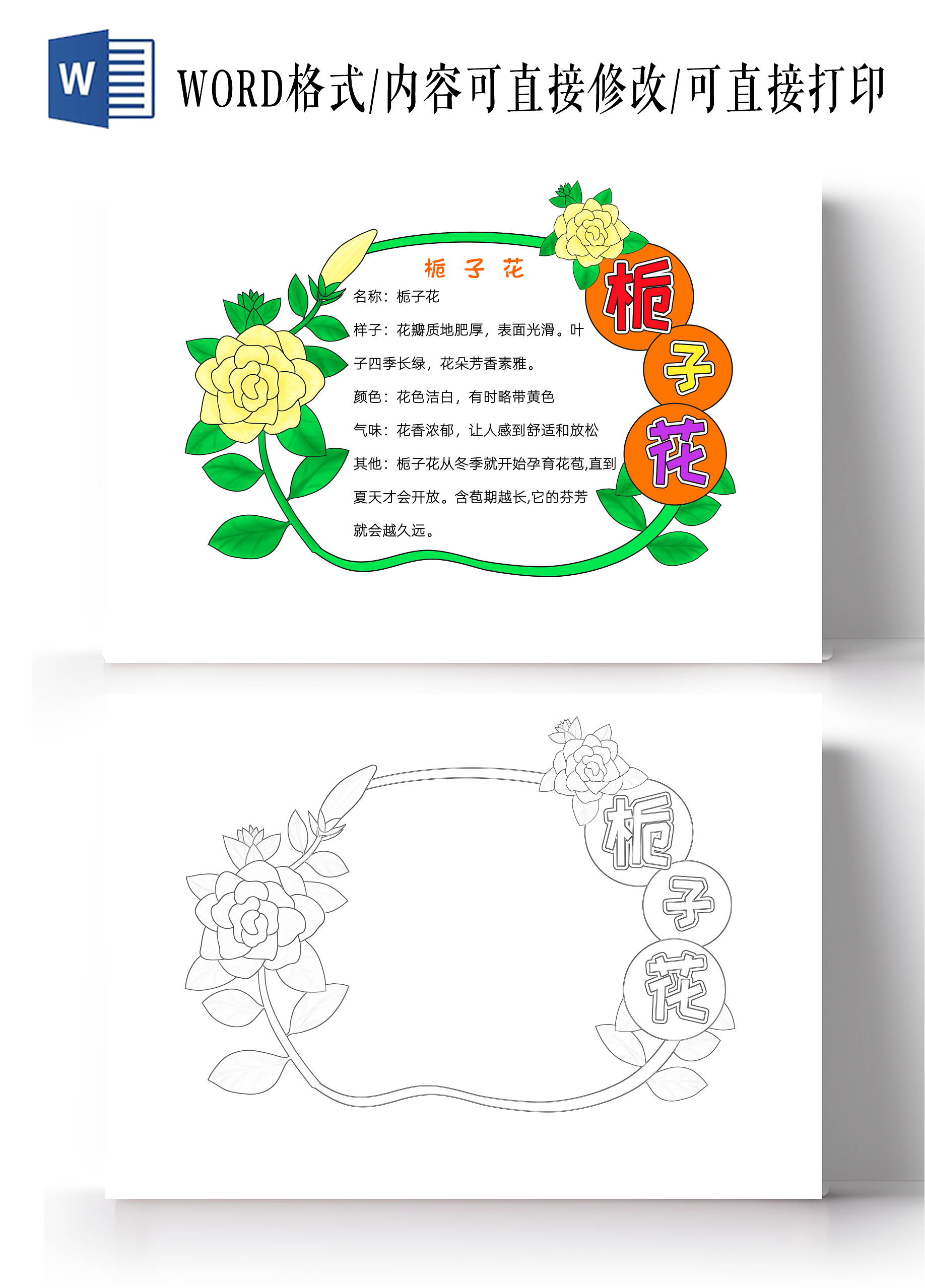 植物生长空白植物观察日记生长观察日记植物生长绿色卡通栀子花小报手抄报读书手抄报植物记录卡