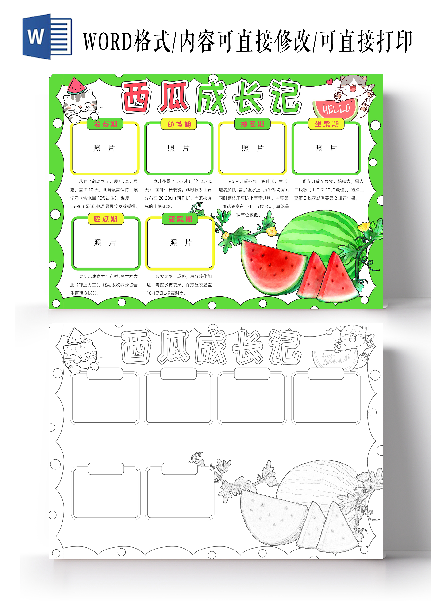 植物生长空白生长过程植物观察日记绿色卡通西瓜成长记小报手抄报读书手抄报植物生长