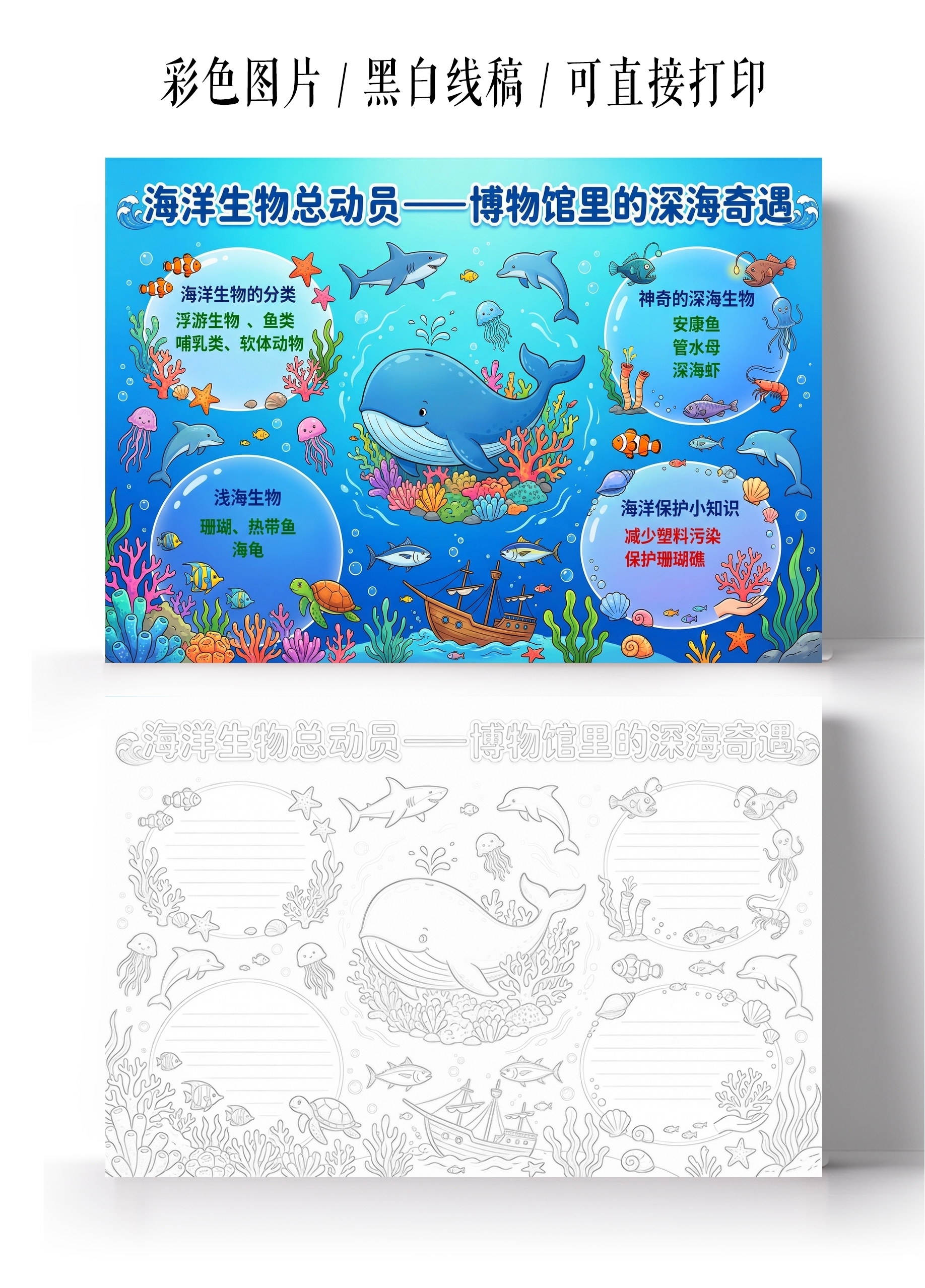 彩色卡通手绘博物馆里的深海奇遇小报手抄报