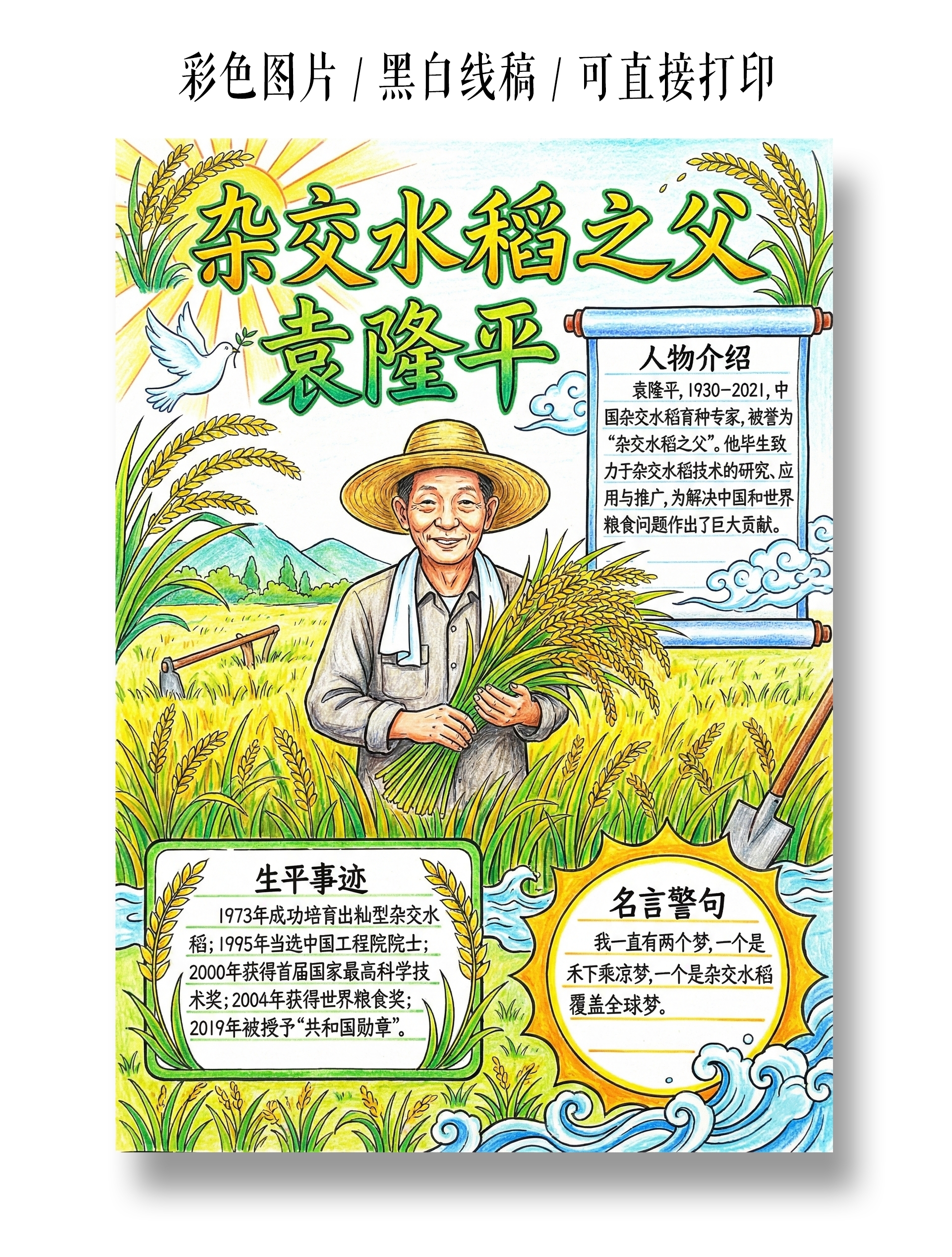 彩色卡通手绘袁隆平 杂交水稻之父小报手抄报