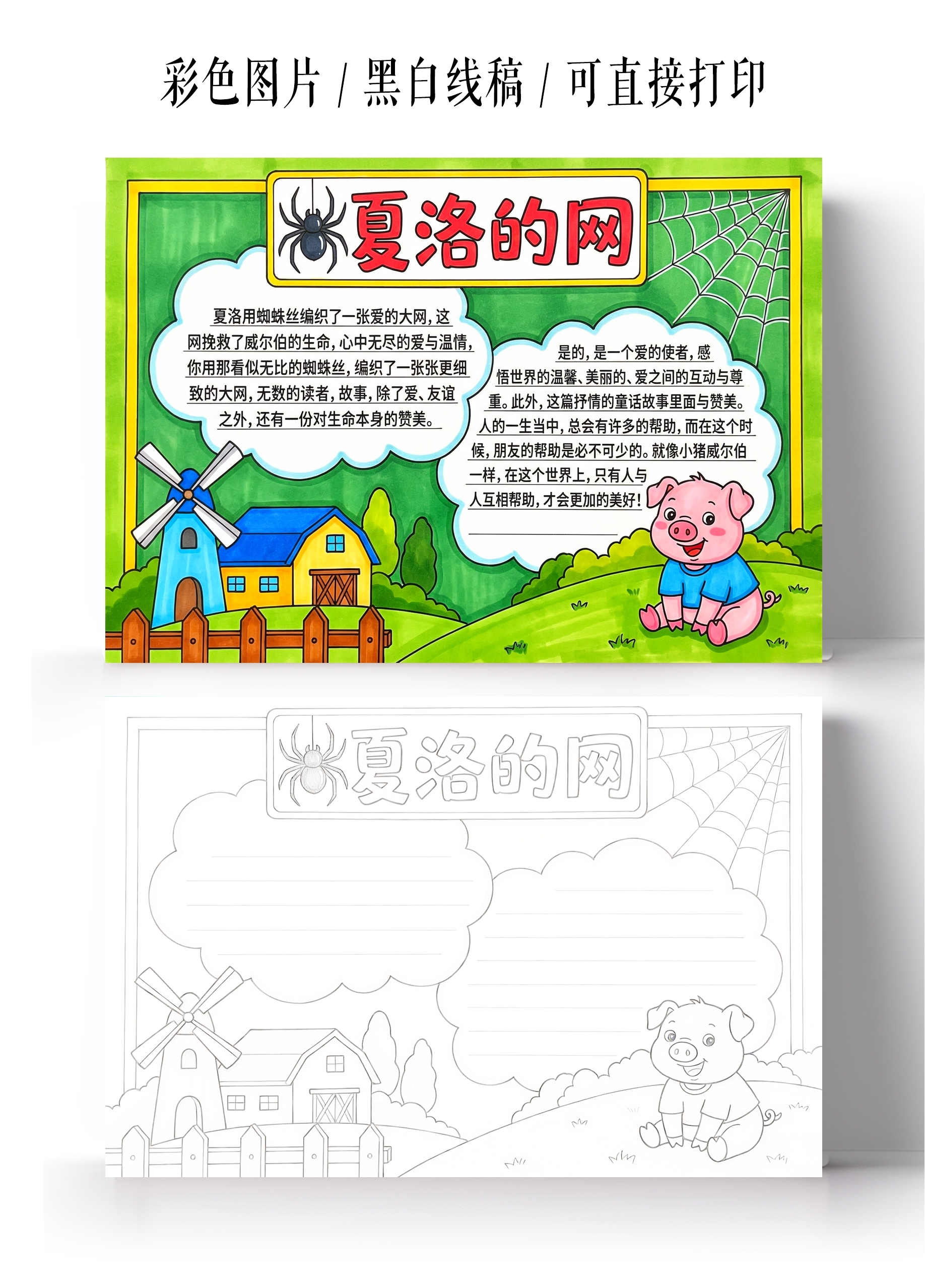 彩色卡通手绘夏洛的网小报手抄报