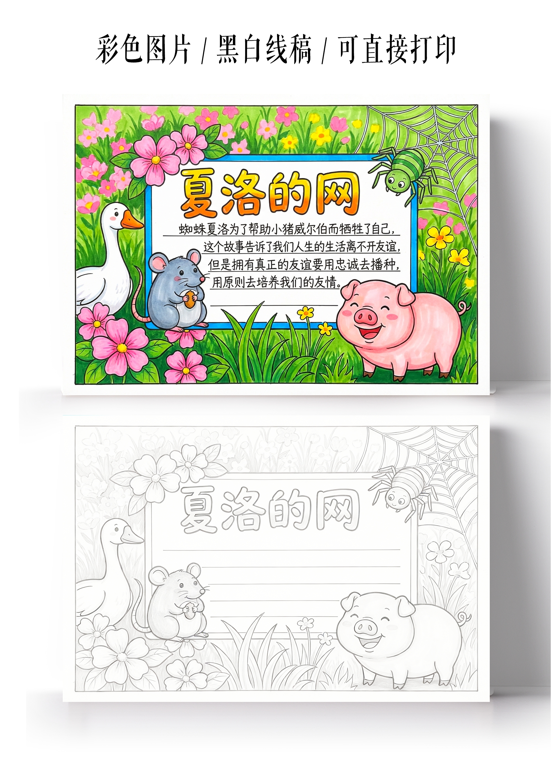彩色卡通手绘夏洛的网小报手抄报