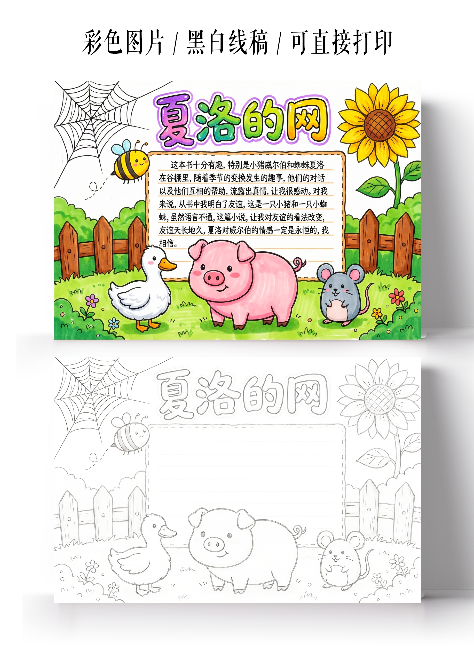 彩色卡通手绘夏洛的网小报手抄报