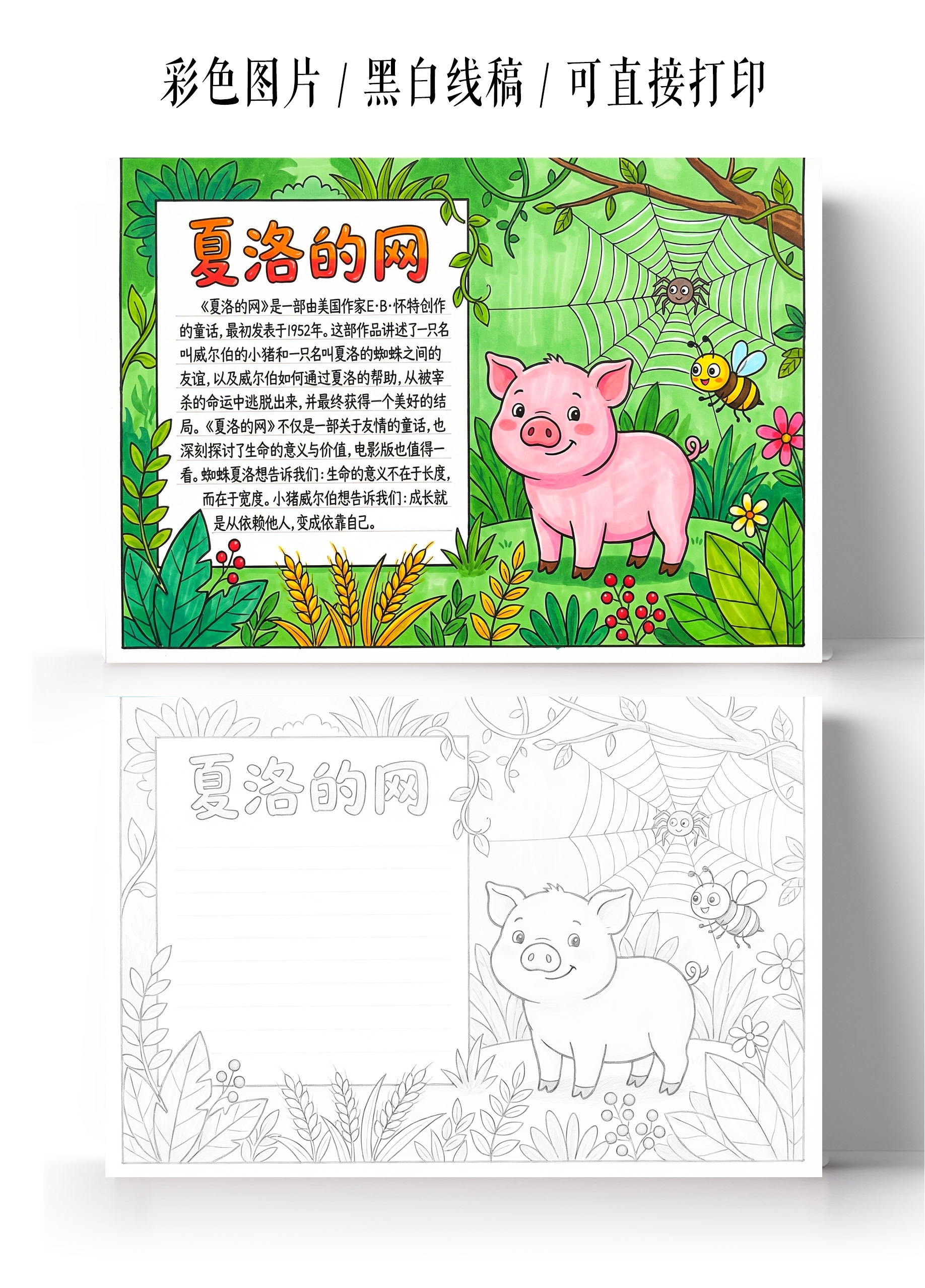 彩色卡通手绘夏洛的网小报手抄报