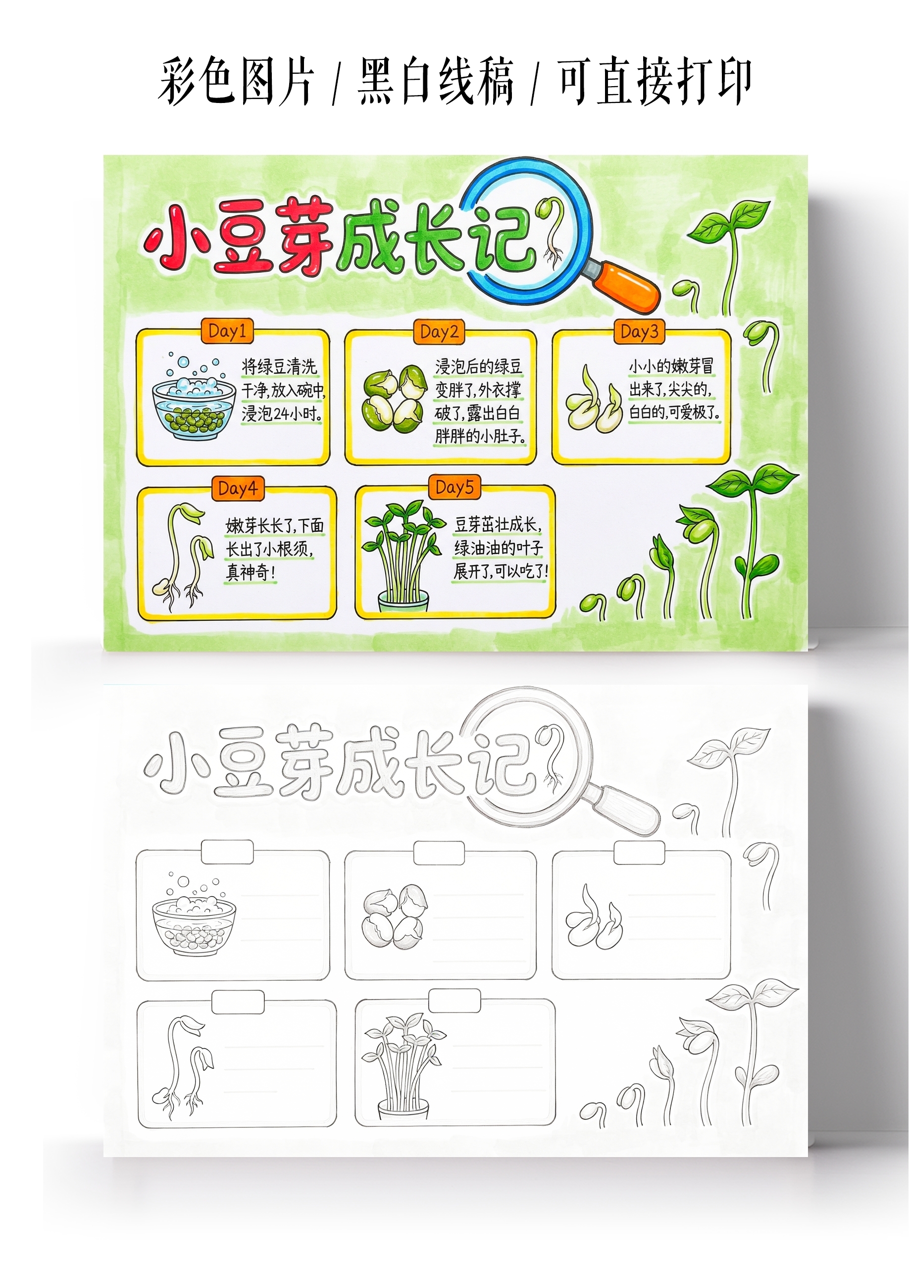 彩色卡通手绘小豆芽成长记小报手抄报