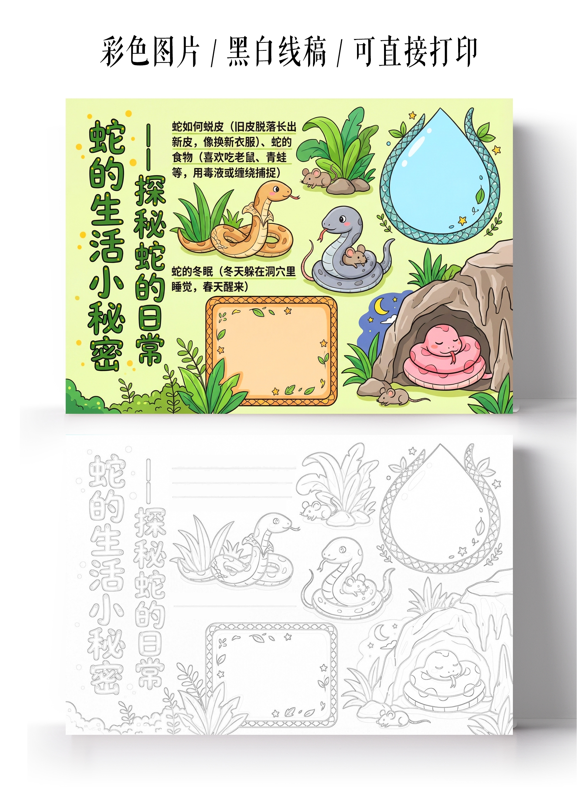 彩色卡通手绘蛇的生活小秘密一一探秘蛇的日常小报手抄报