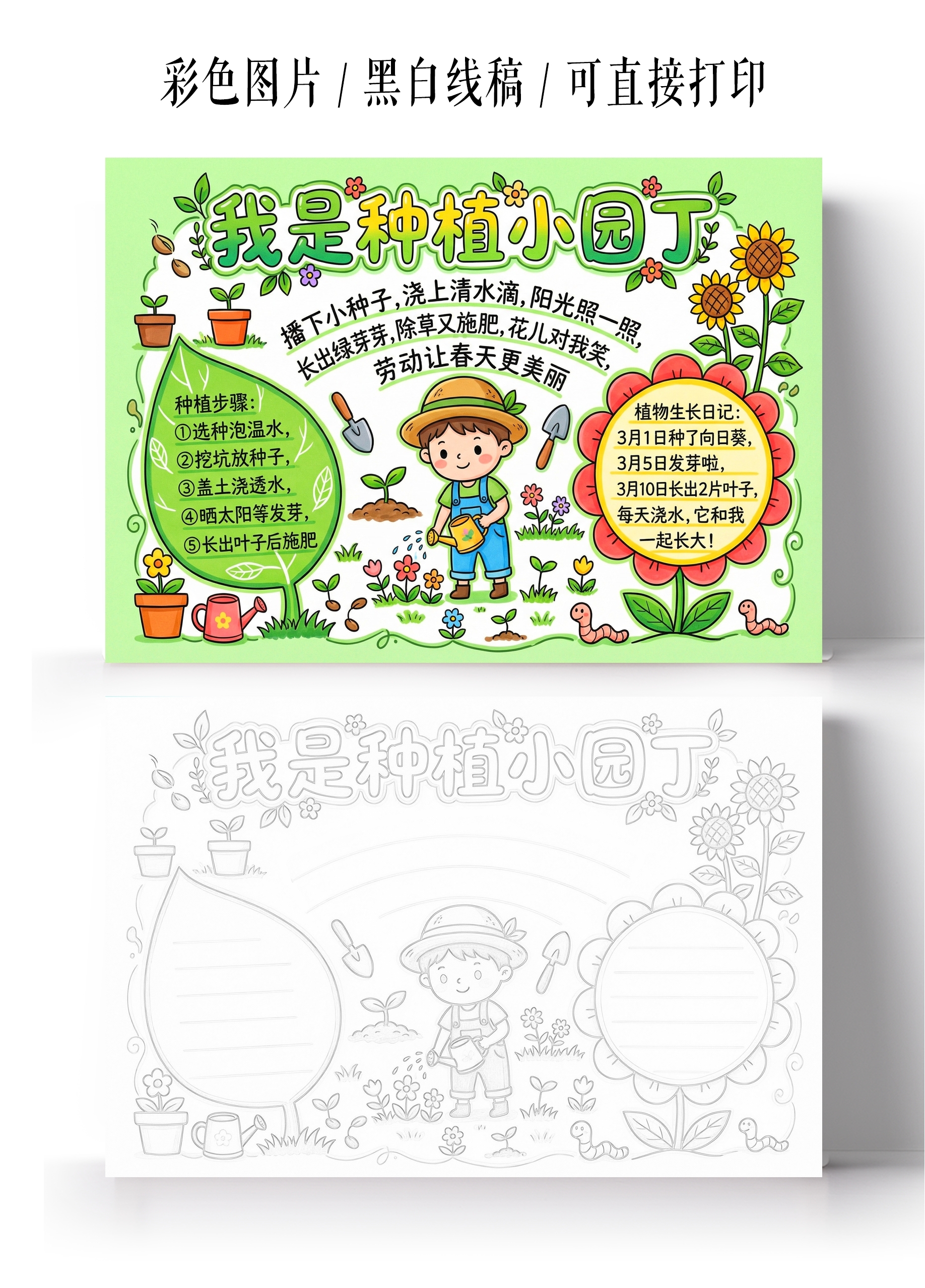植物生长彩色卡通手绘我是种植小园丁小报手抄报