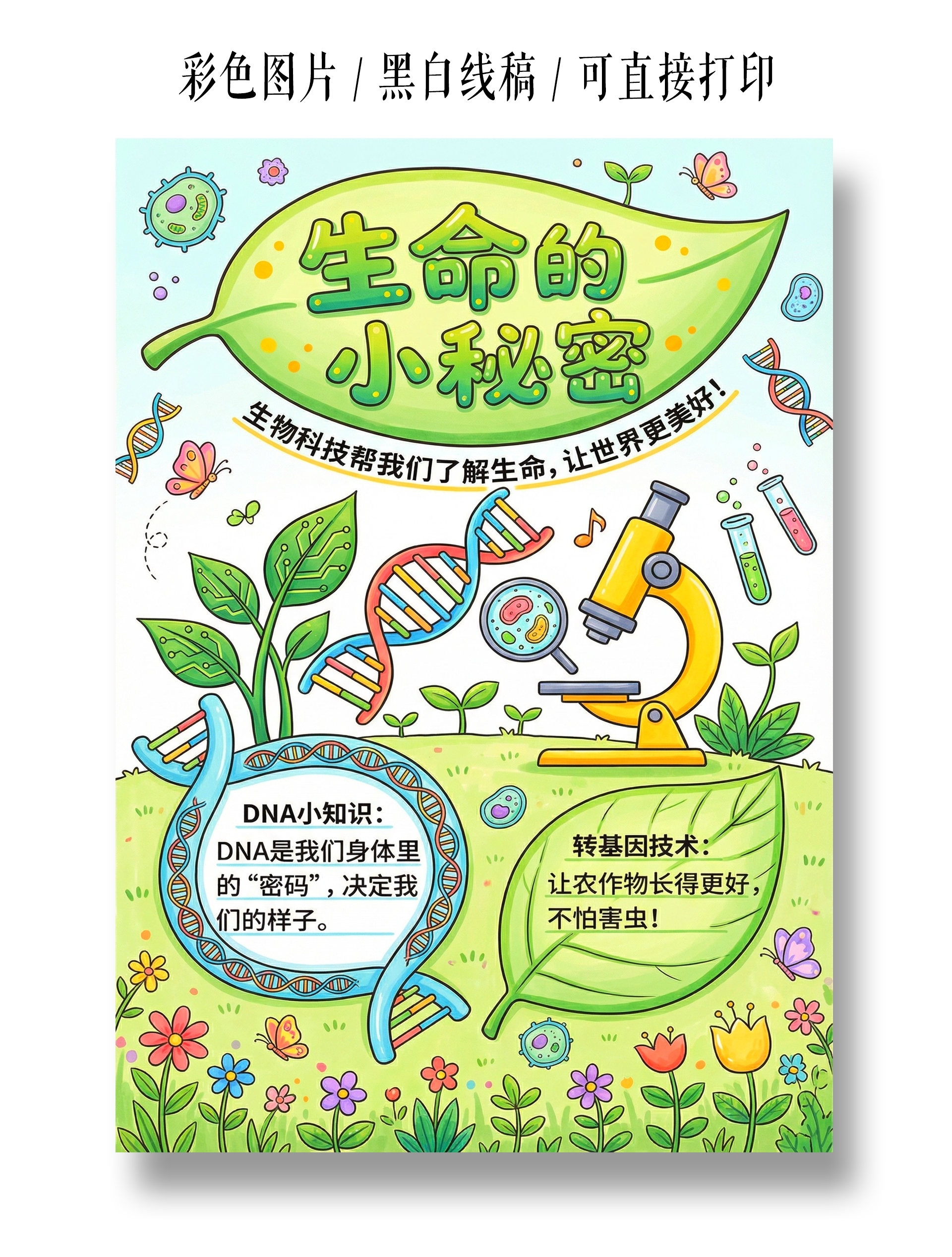 彩色卡通手绘生命的小秘密小报手抄报