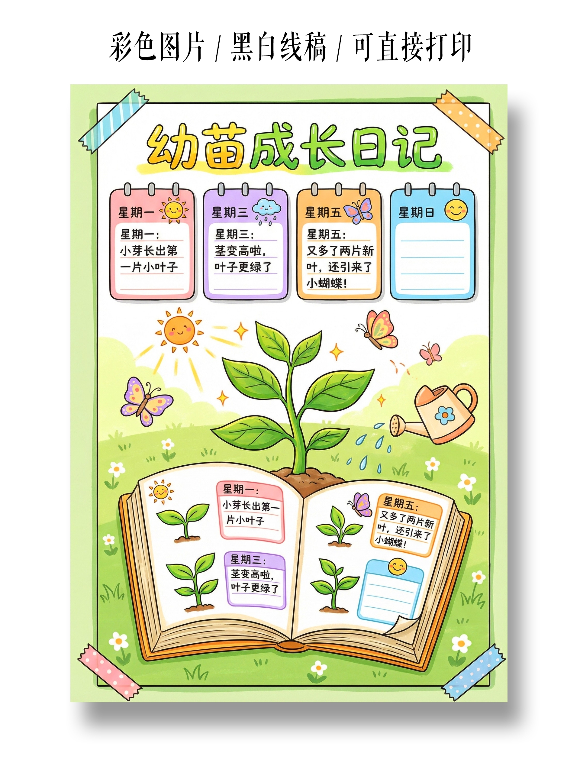 植物生长彩色卡通手绘幼苗的成长日记小报手抄报