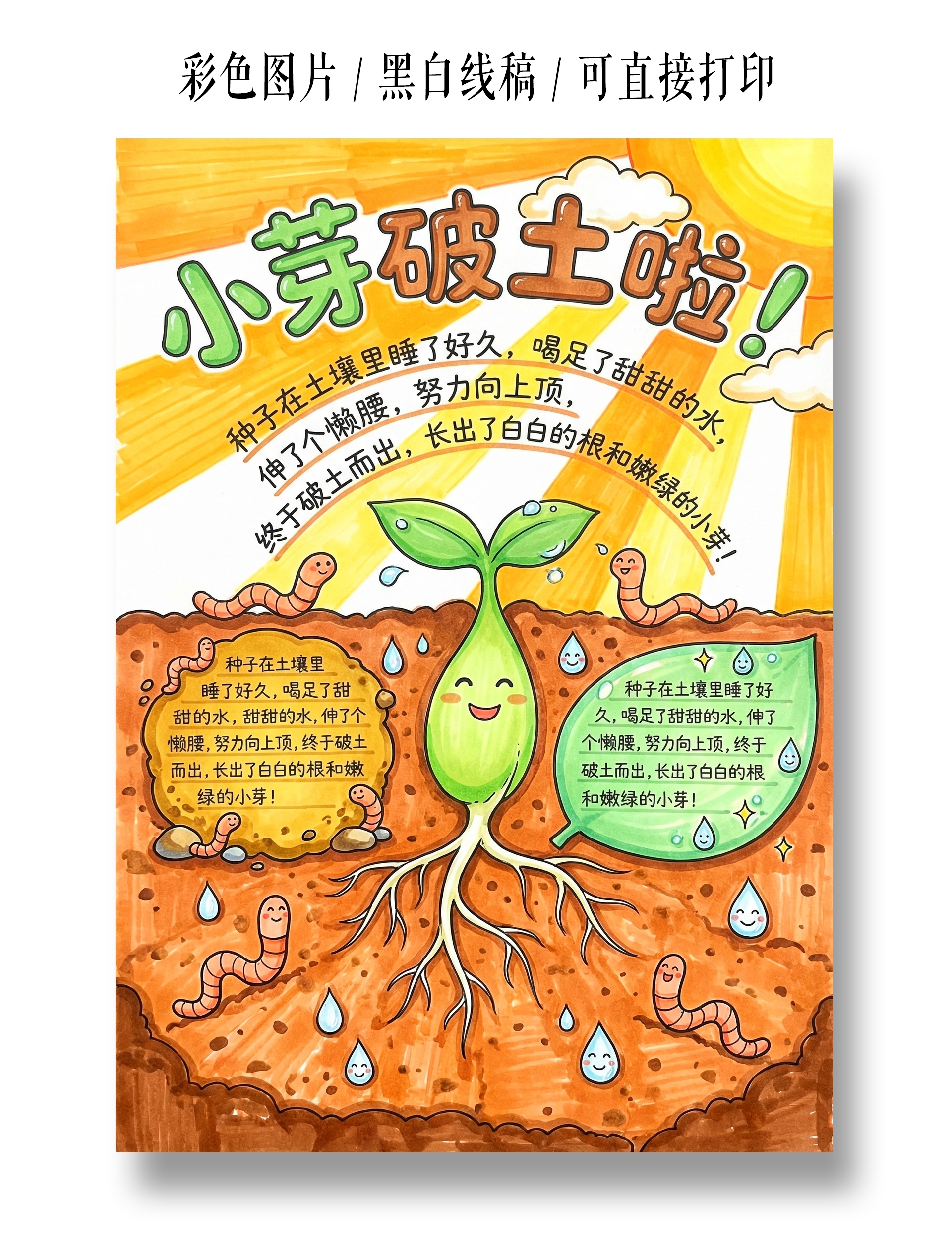 植物生长彩色卡通手绘小芽破土啦小报手抄报