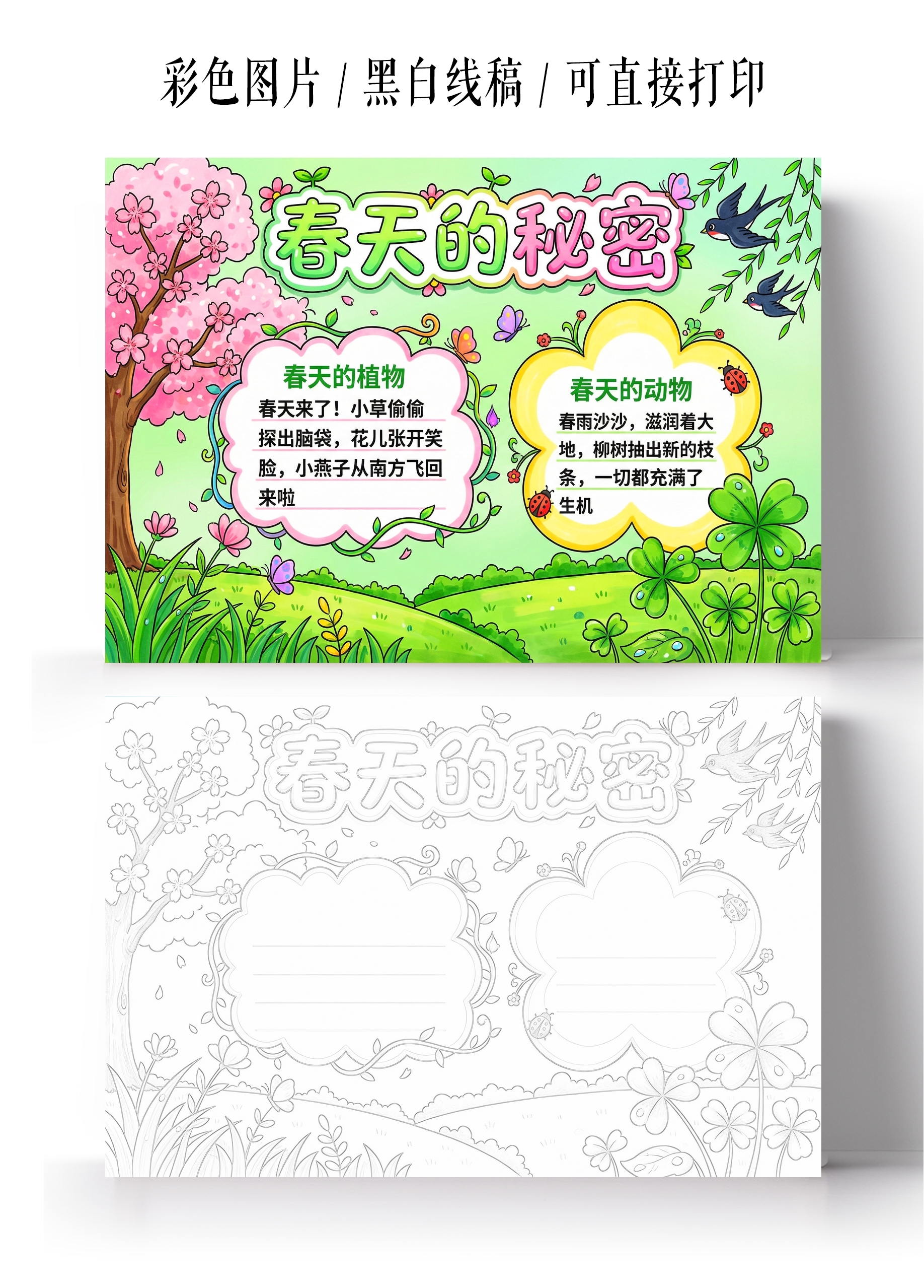 彩色卡通手绘春天的秘密小报手抄报