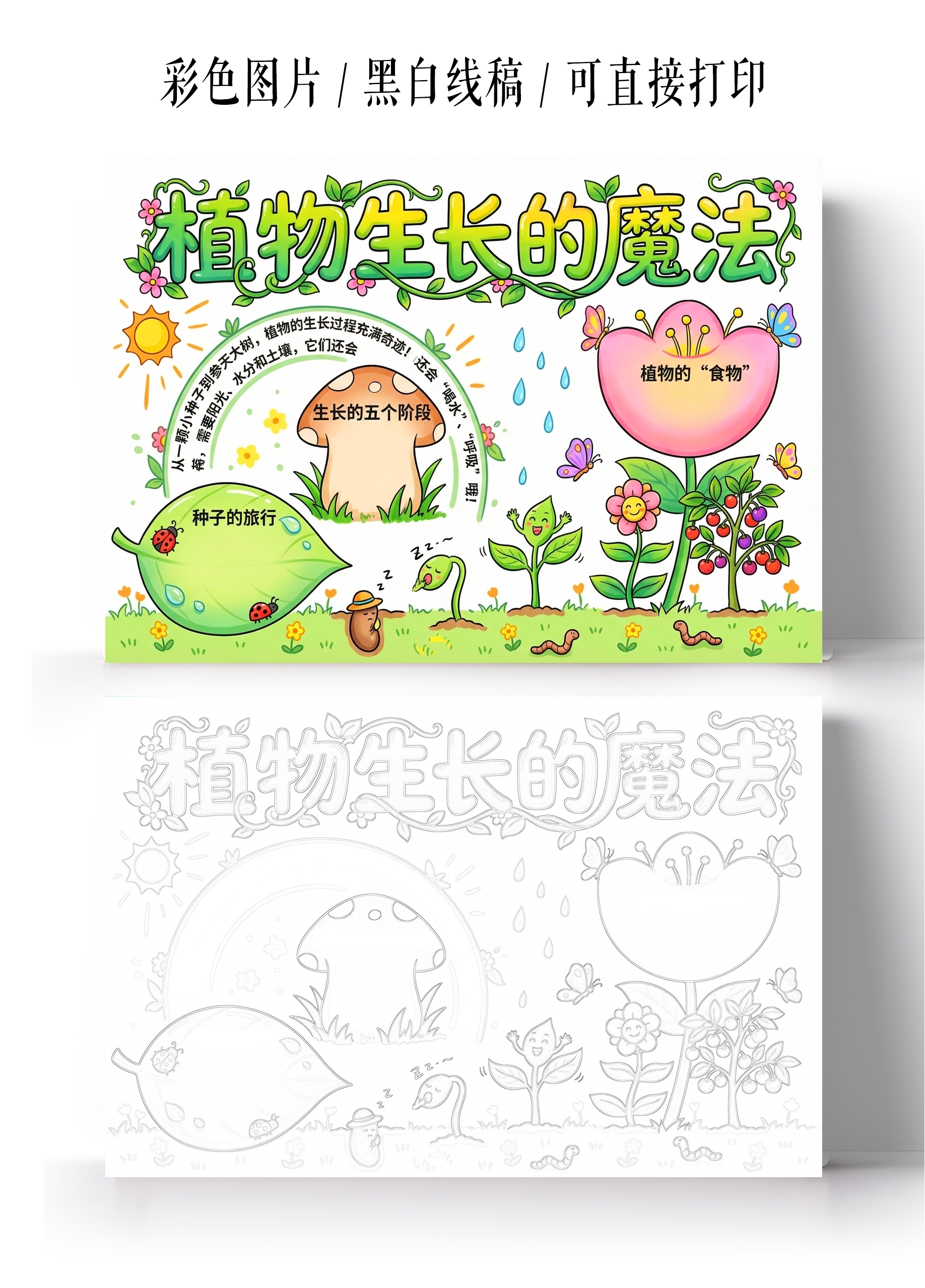 彩色卡通手绘植物生长的魔法小报手抄报