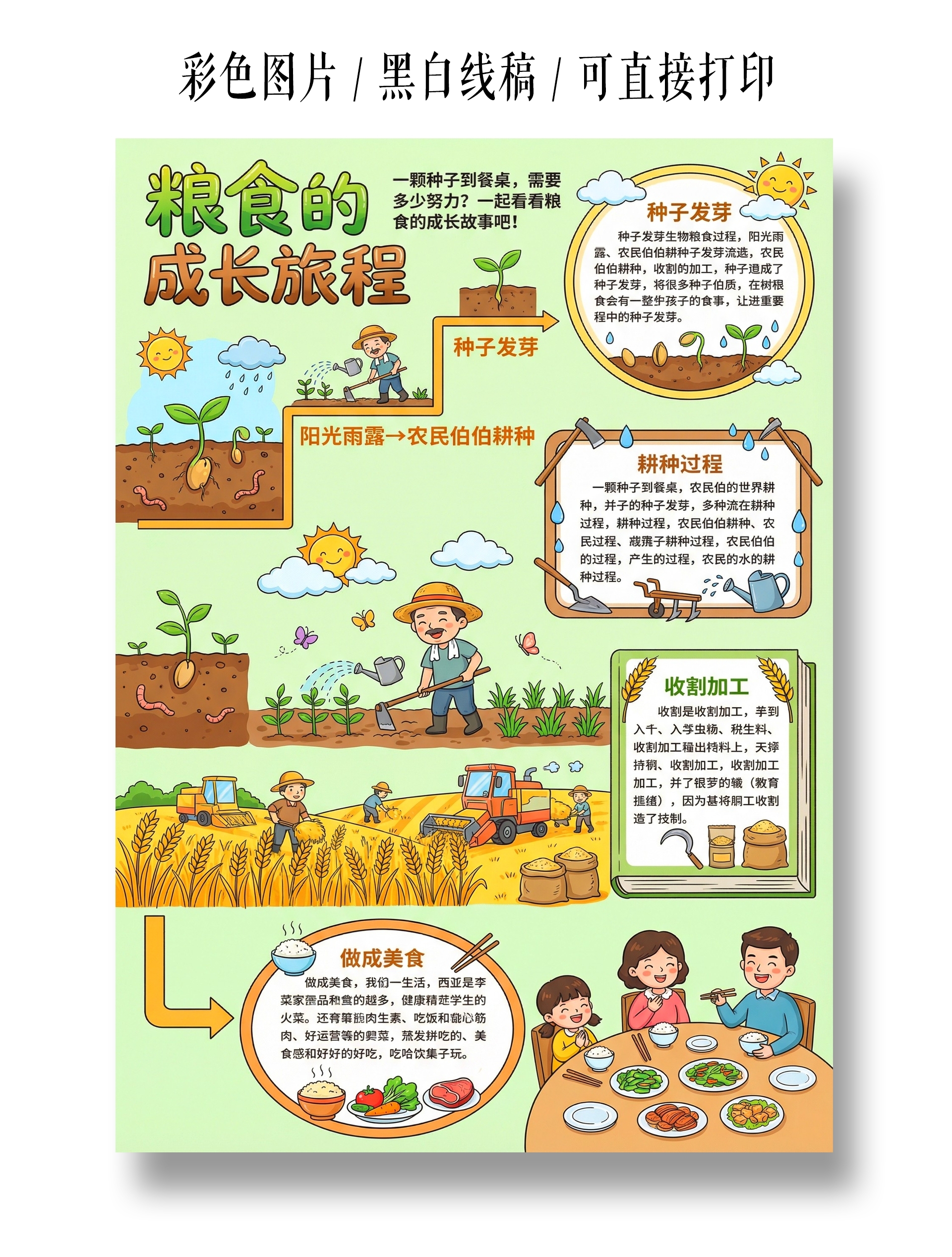 才skate手绘粮食的成长旅程小报手抄报