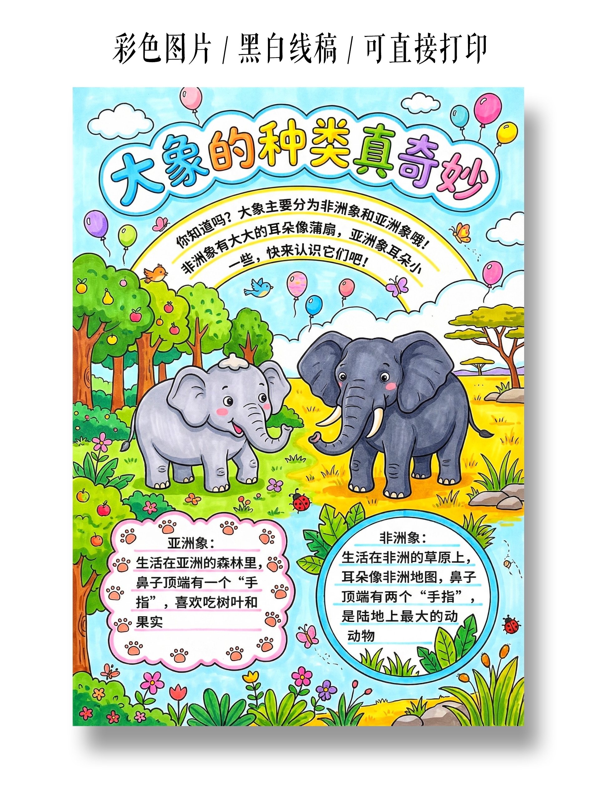 彩色卡通手绘大象的种类真奇妙小报手抄报