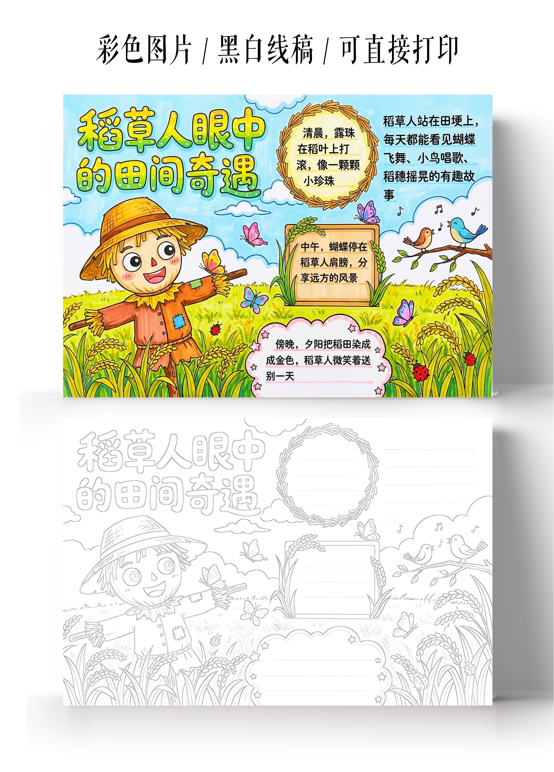 彩色卡通手绘稻草人眼中的田间奇遇小报手抄报