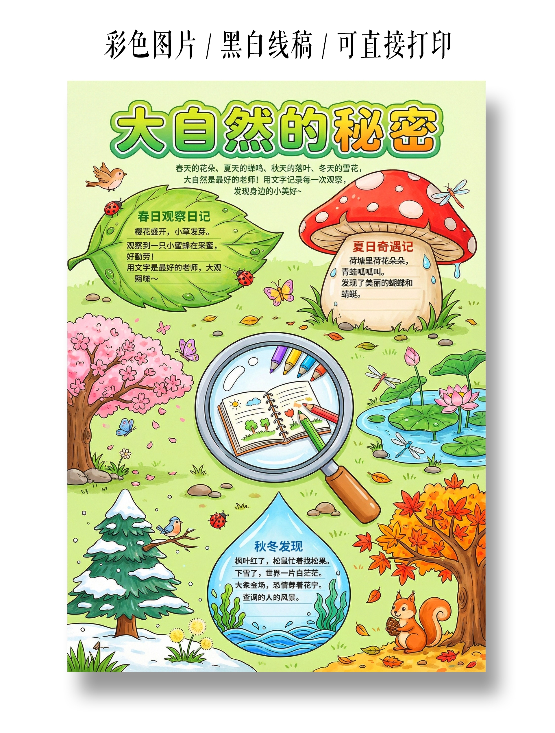 彩色卡通手绘大自然的秘密小报手抄报