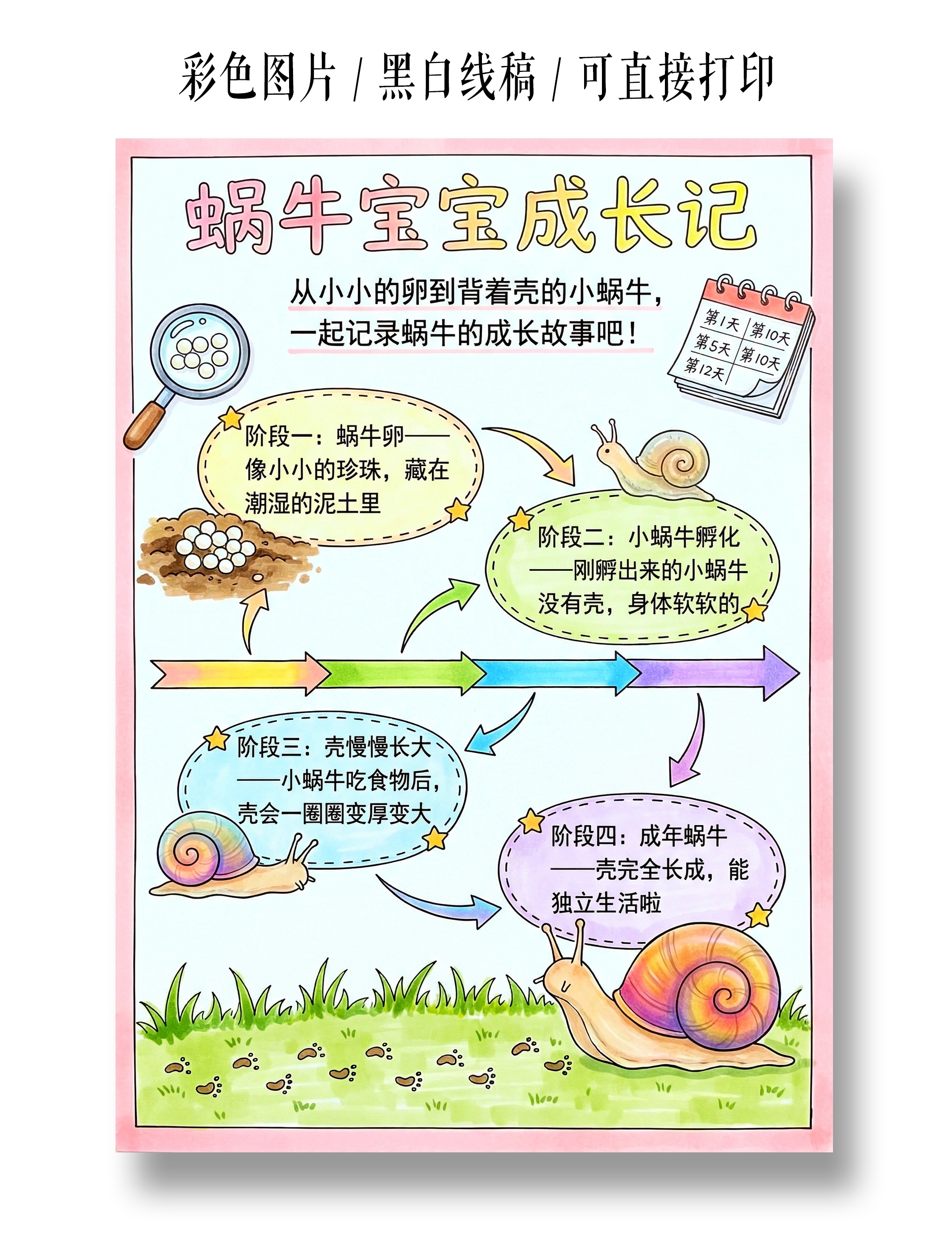 彩色卡通手绘蜗牛宝宝成长记小报手抄报小学生手抄报