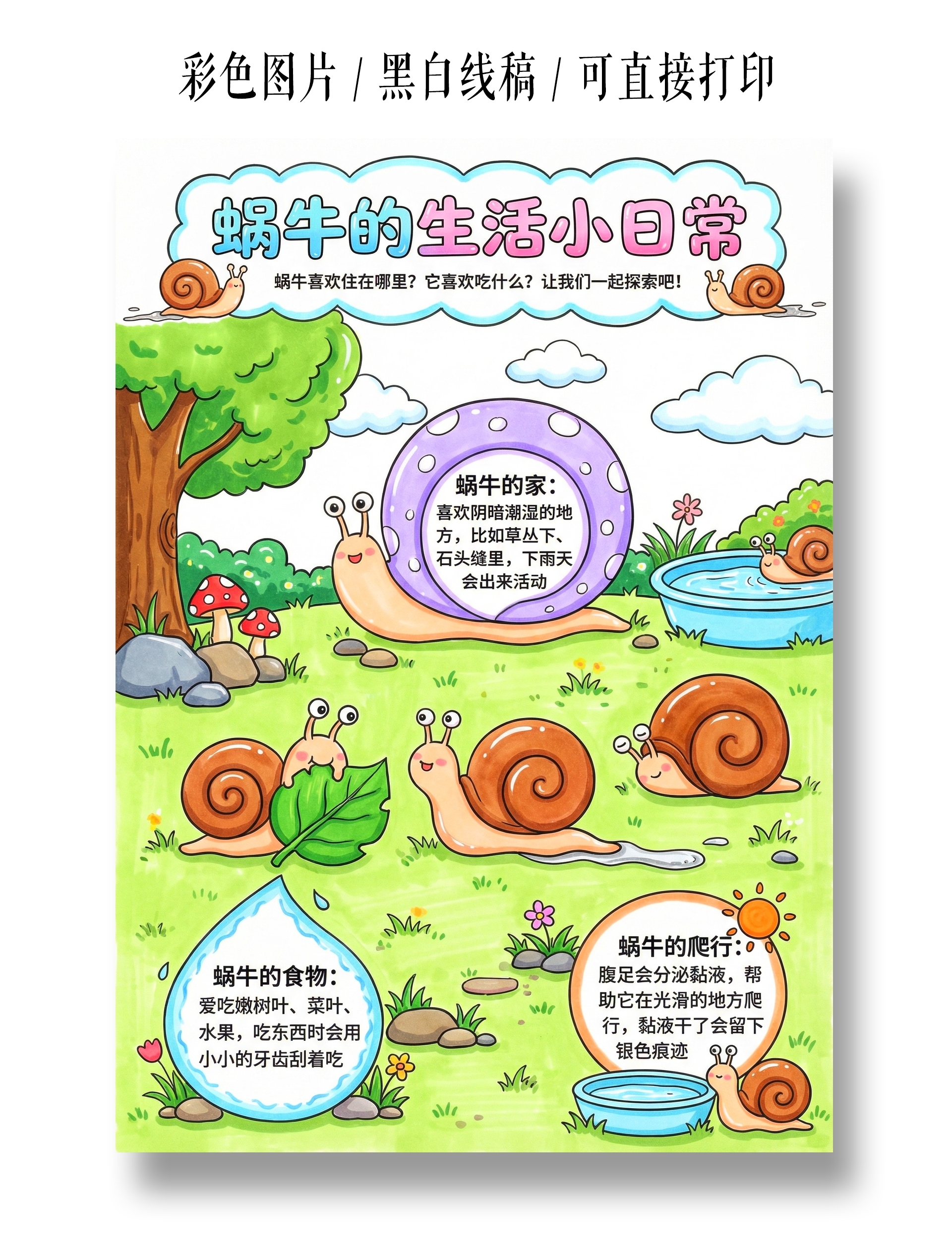 彩色卡通手绘蜗牛的生活小日常小报手抄报小学生手抄报
