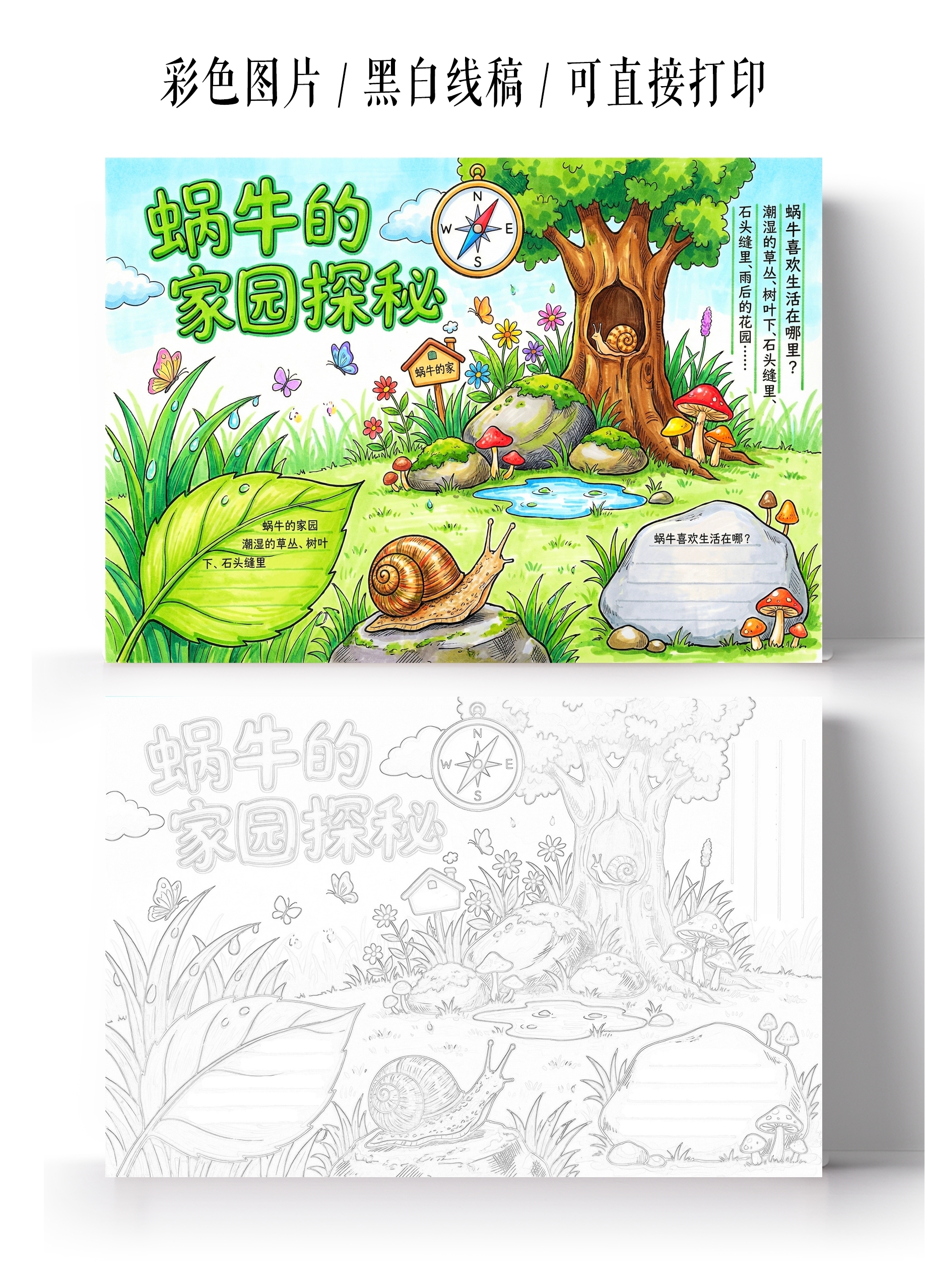 彩色卡通手绘蜗牛的家园探秘小报手抄报小学生手抄报