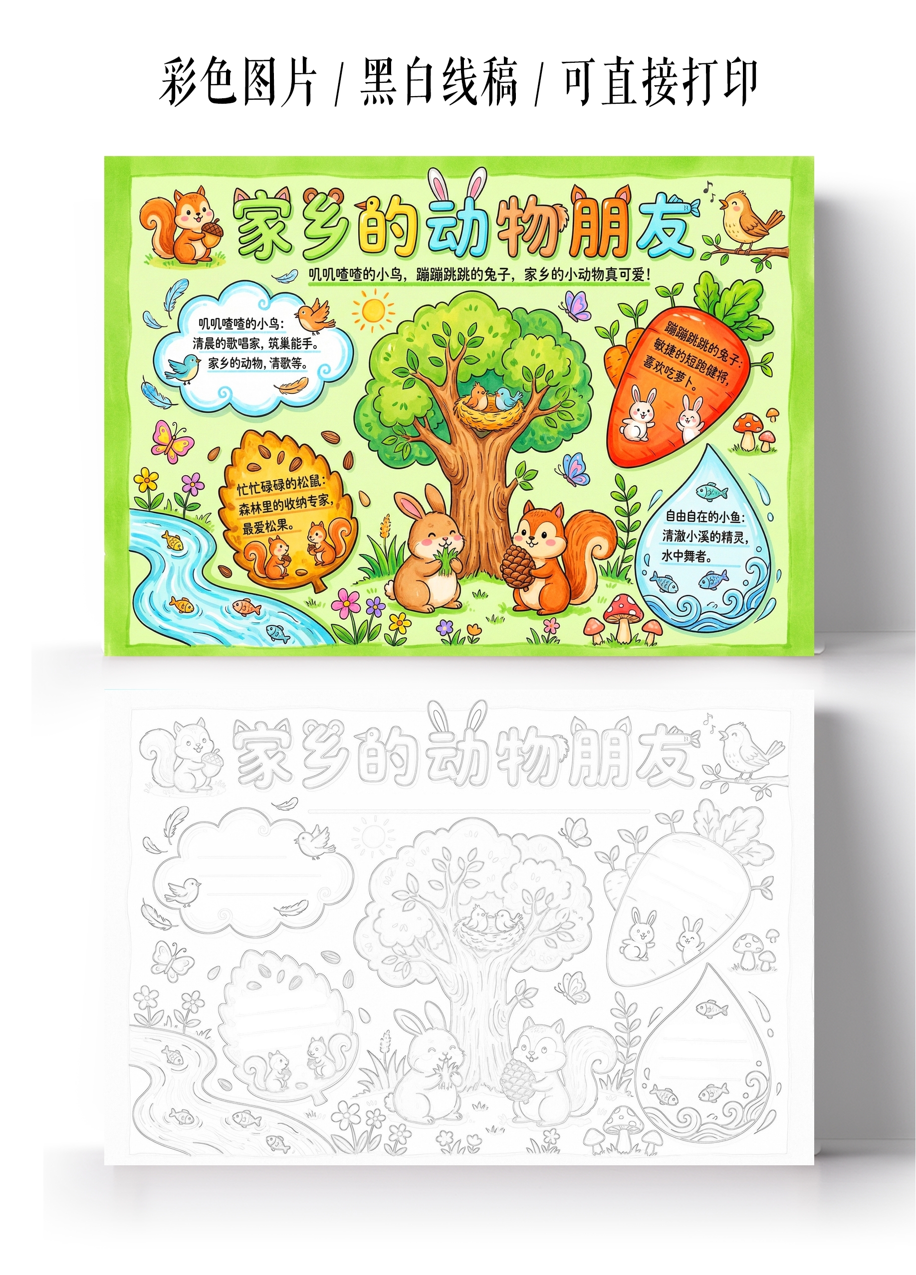 彩色卡通手绘家乡的动物朋友小报手抄报小学生手抄报