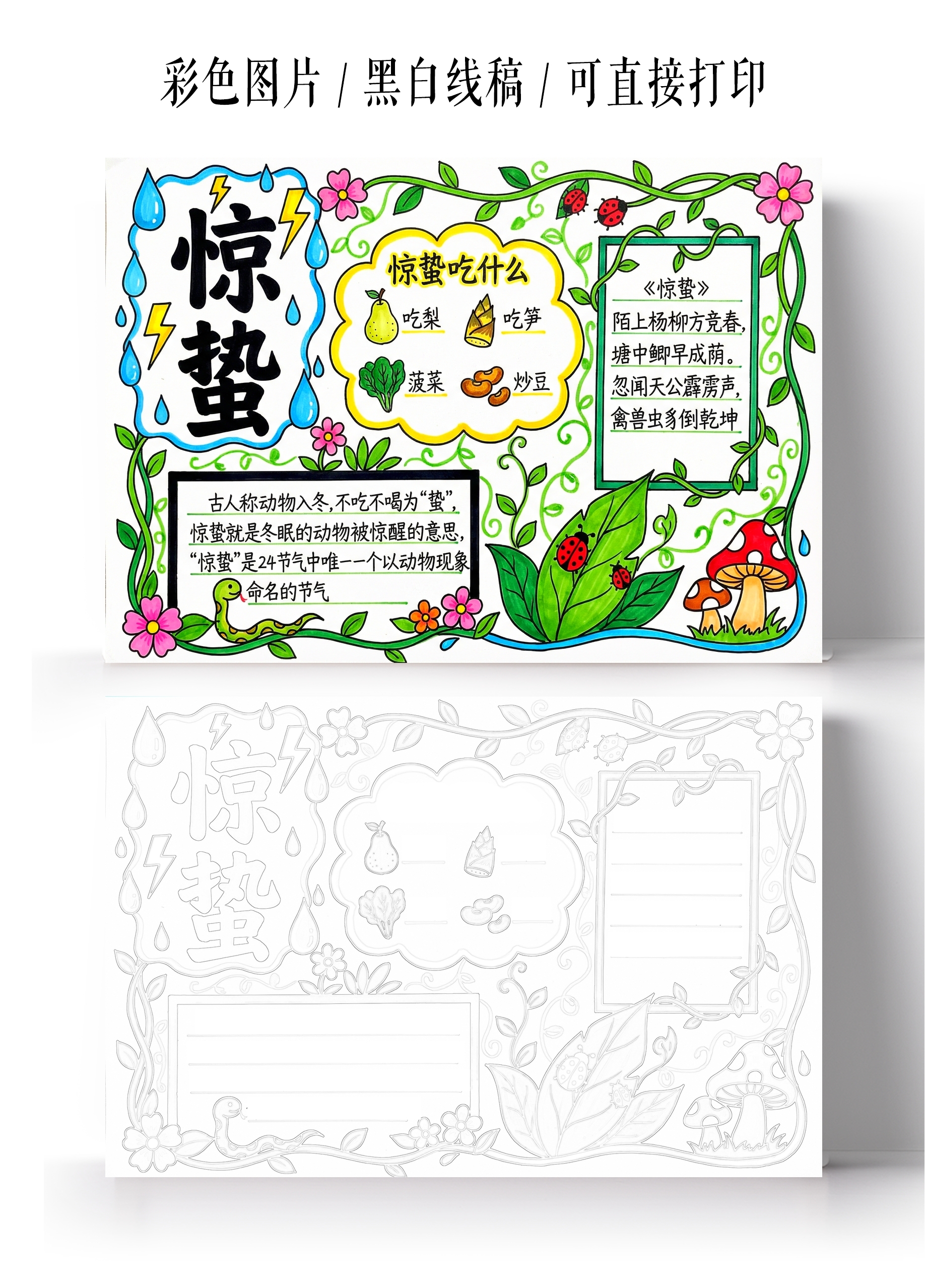 彩色卡通手绘惊蛰小报手抄报小学生手抄报