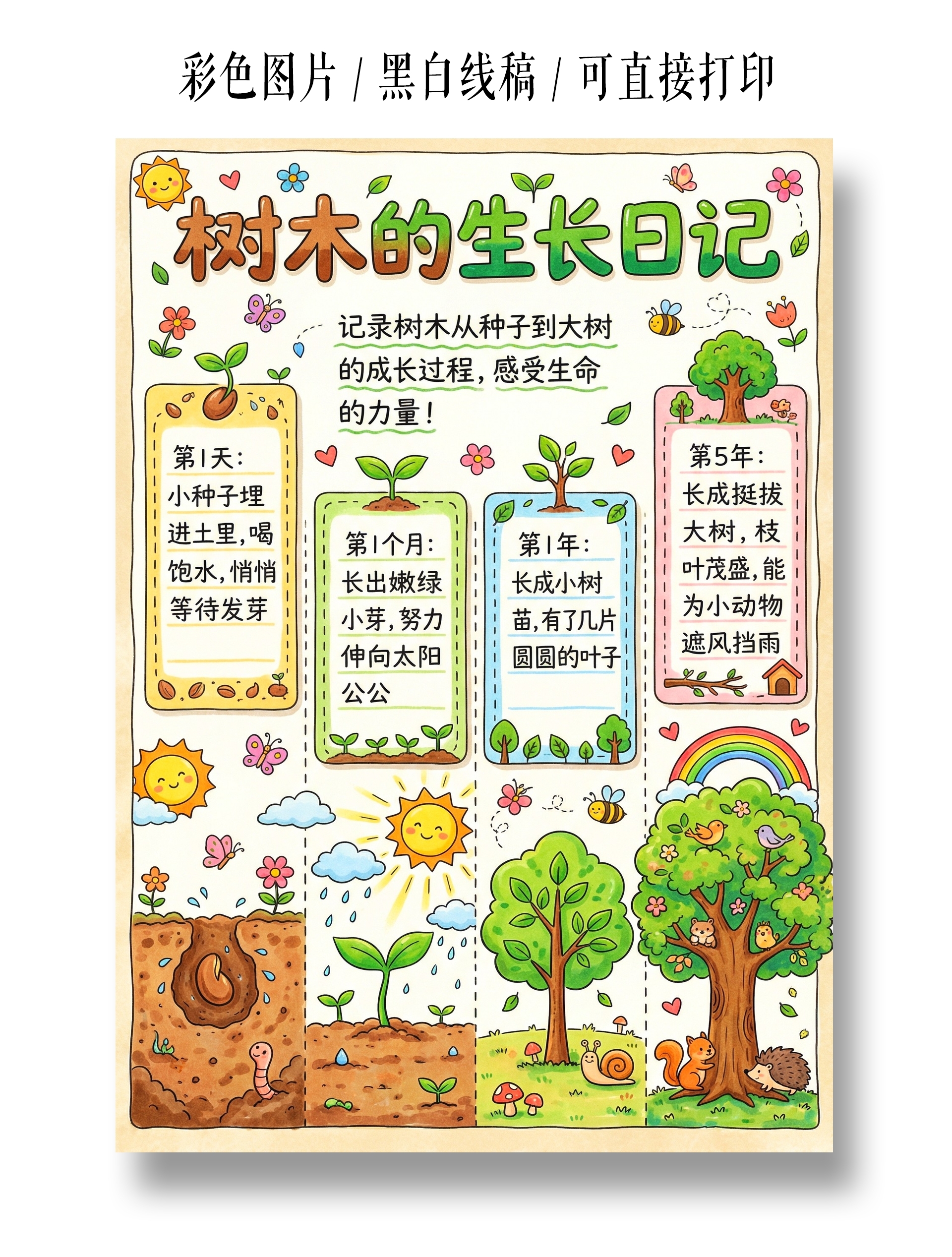 彩色卡通手绘树木的生长日记小报手抄报小学生手抄报
