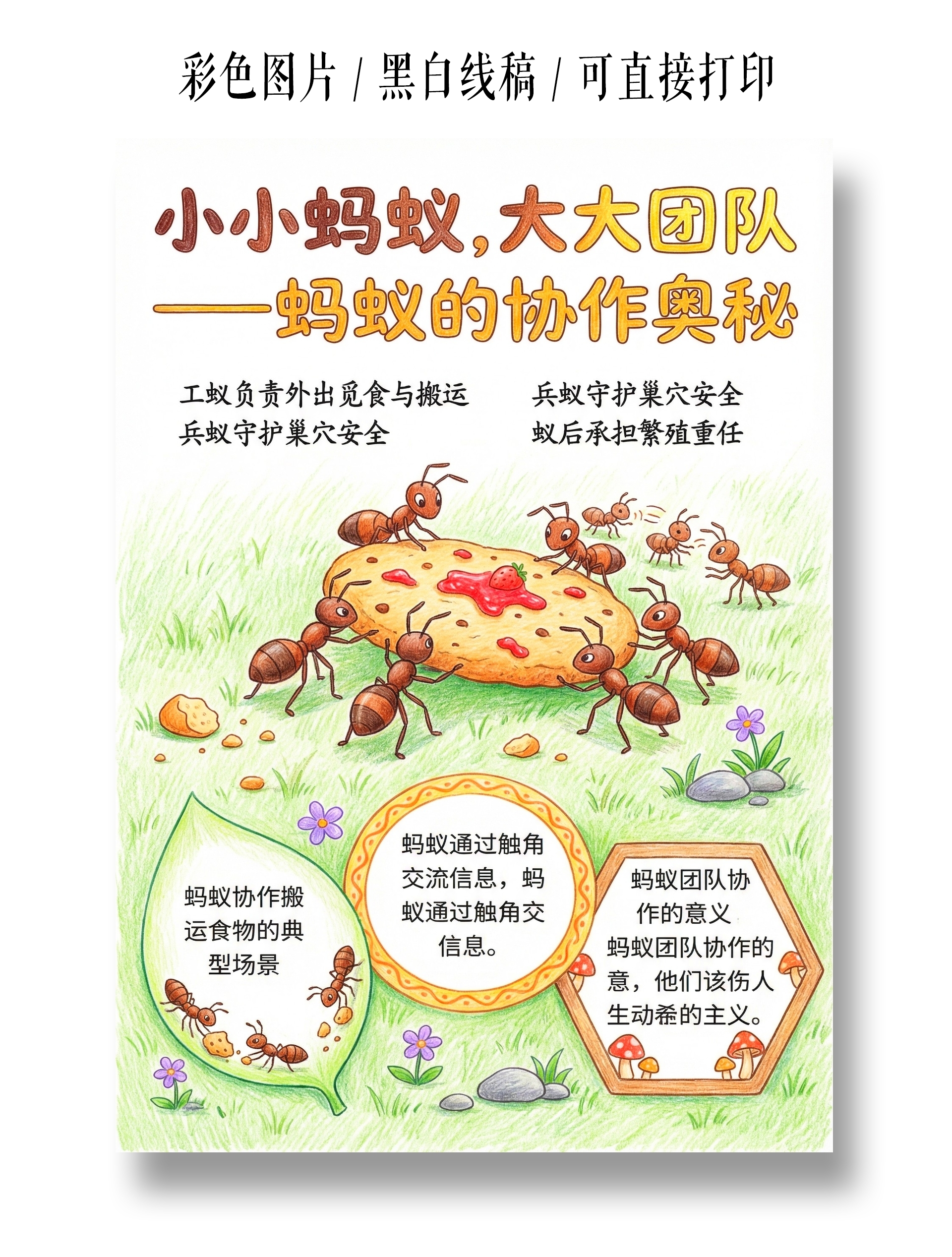 彩色卡通手绘蚂蚁的协作奥秘小报手抄报小学生手抄报