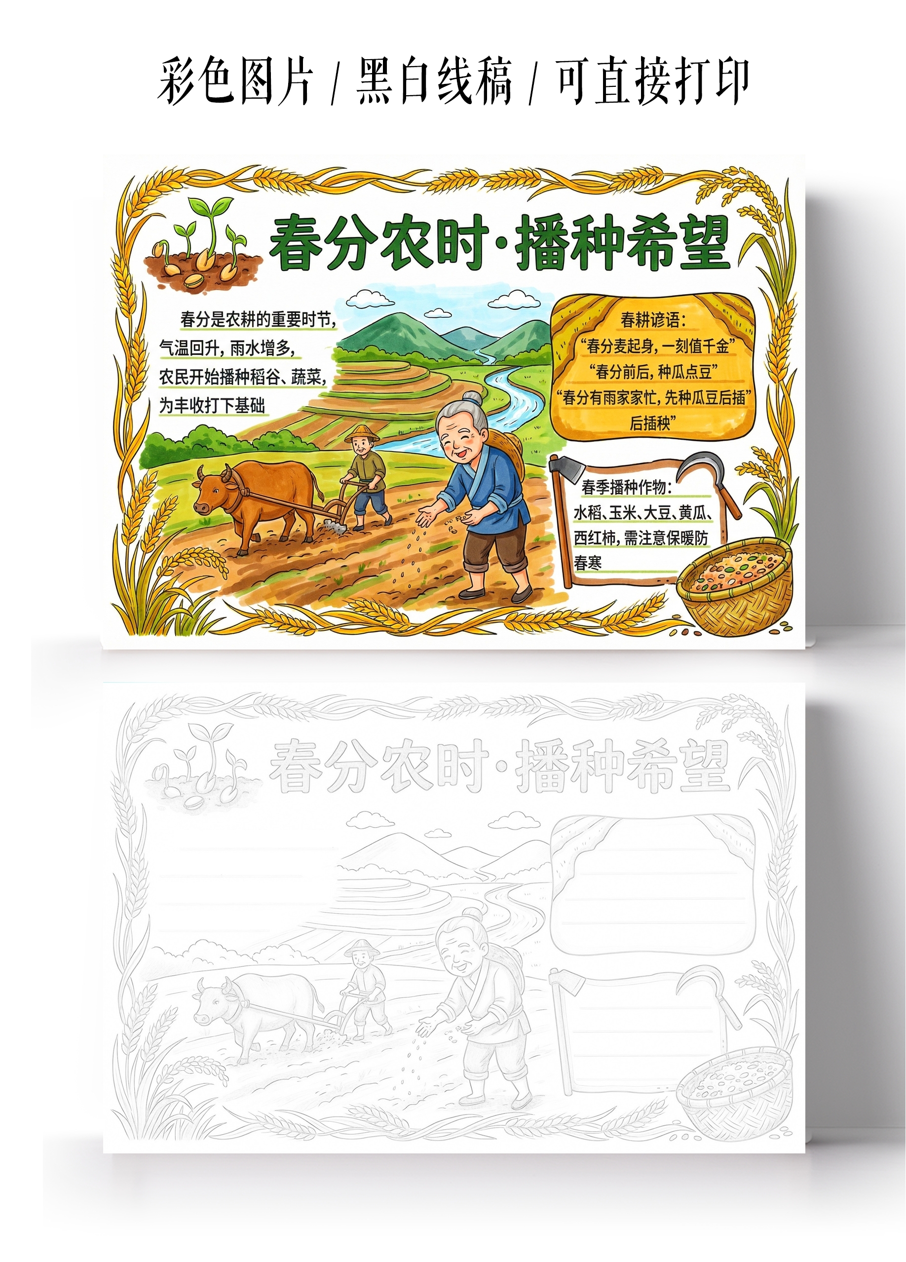 彩色卡通手绘春分农时播种希望小报手抄报小学生手抄报