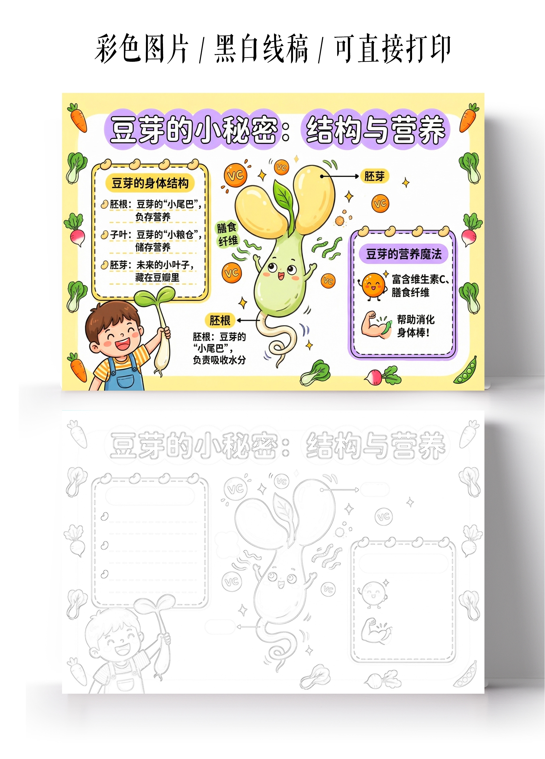 彩色卡通手绘豆芽的小秘密结构与营养小报手抄报小学生手抄报