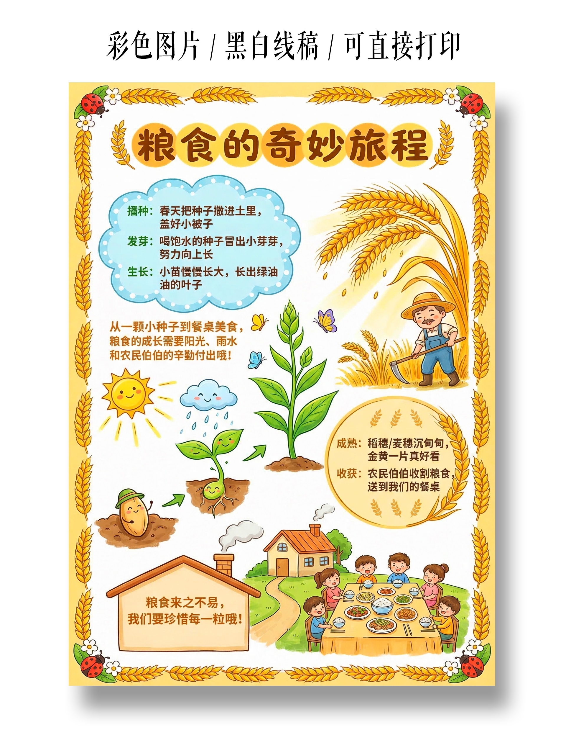 彩色卡通手绘粮食的奇妙旅程小报手抄报小学生手抄报
