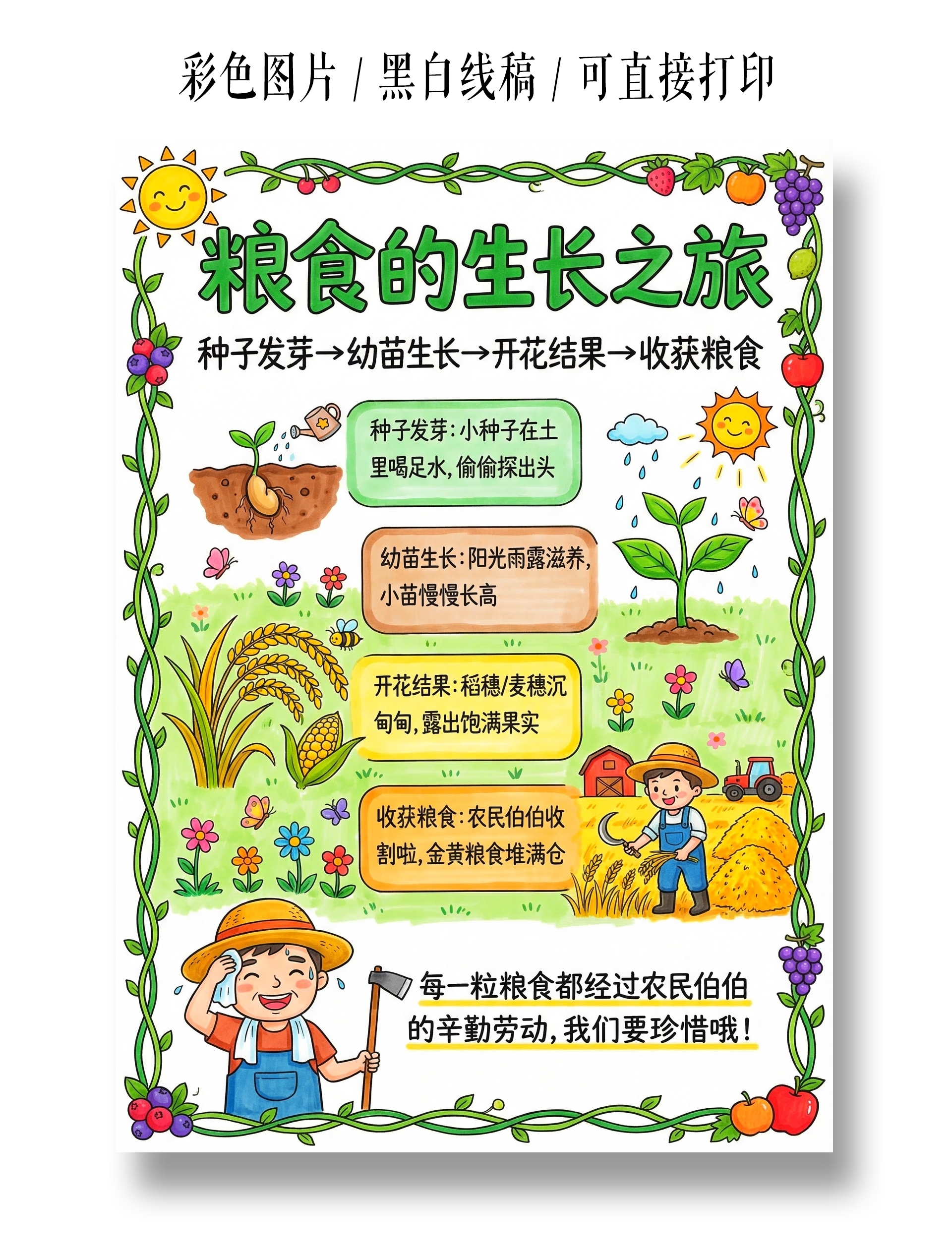 彩色卡通手绘粮食的生长之旅小报手抄报小学生手抄报