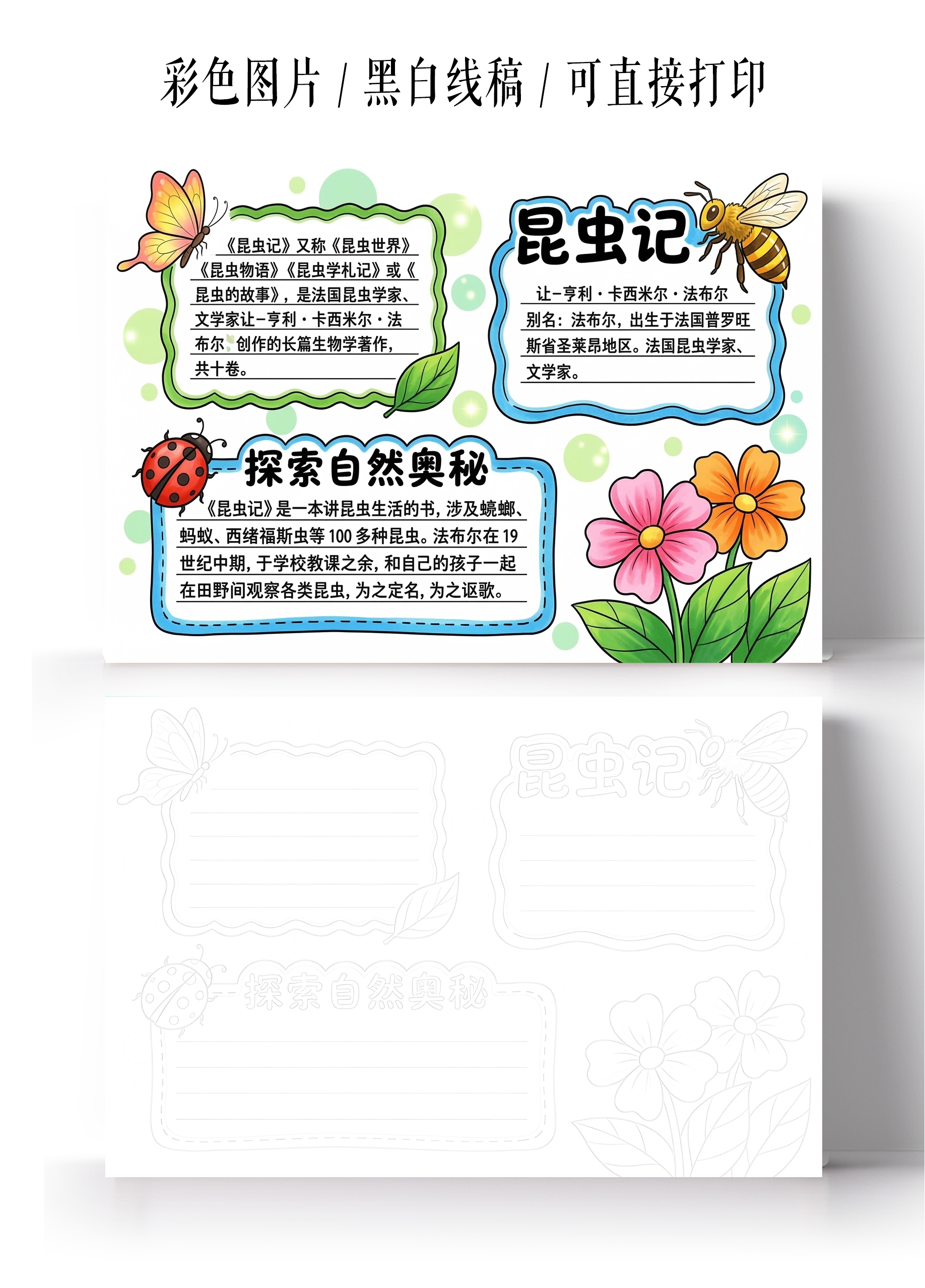彩色卡通手绘昆虫记小报手抄报小学生手抄报