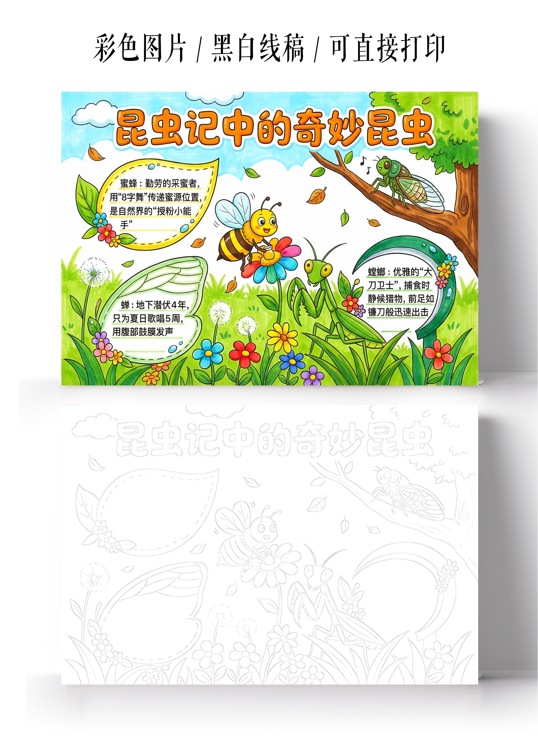 彩色卡通手绘昆虫记中的奇妙昆虫小报手抄报小学生手抄报
