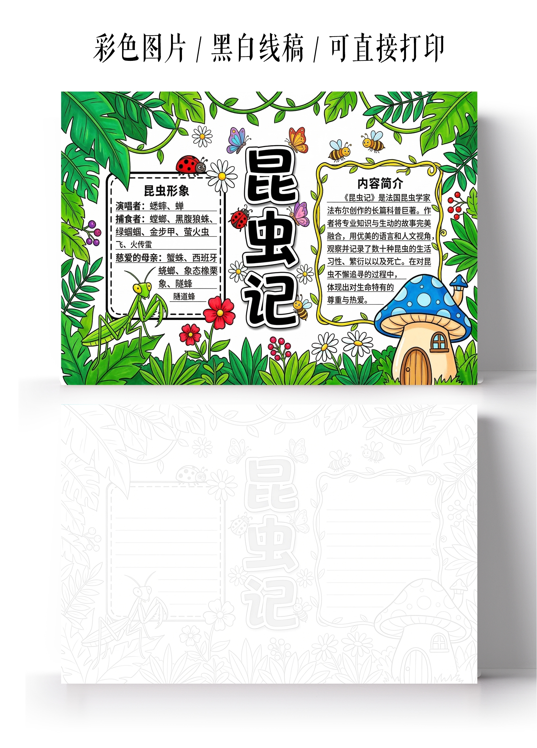 才skate手绘昆虫记小报手抄报小学生手抄报