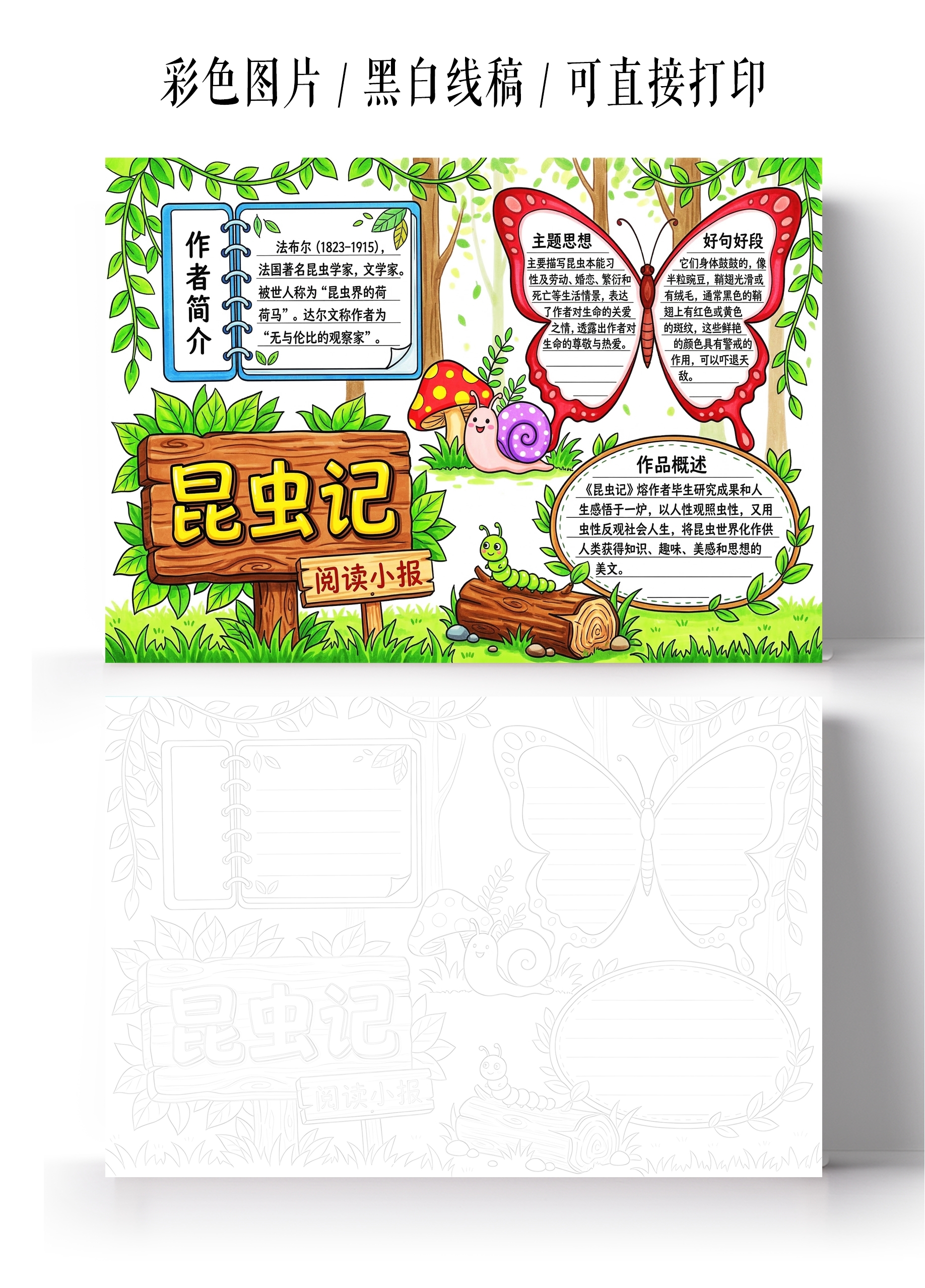 彩色卡通手绘昆虫记小报手抄报小学生手抄报