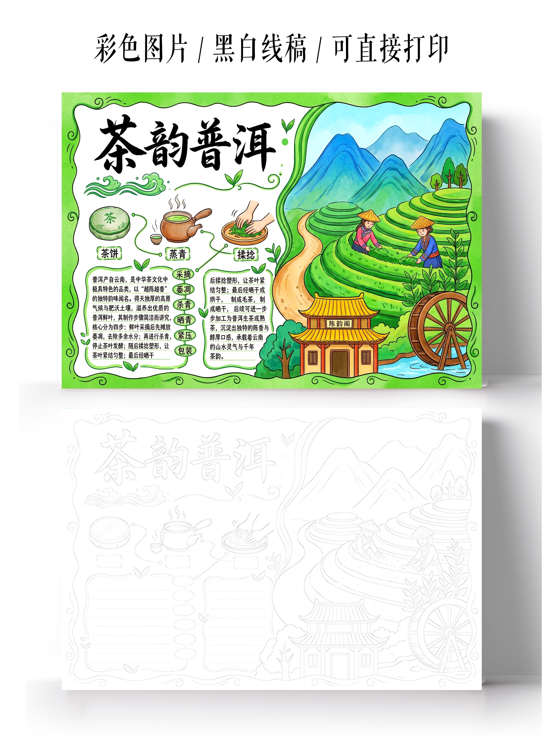 彩色卡通手绘茶韵普洱小报手抄报小学生手抄报
