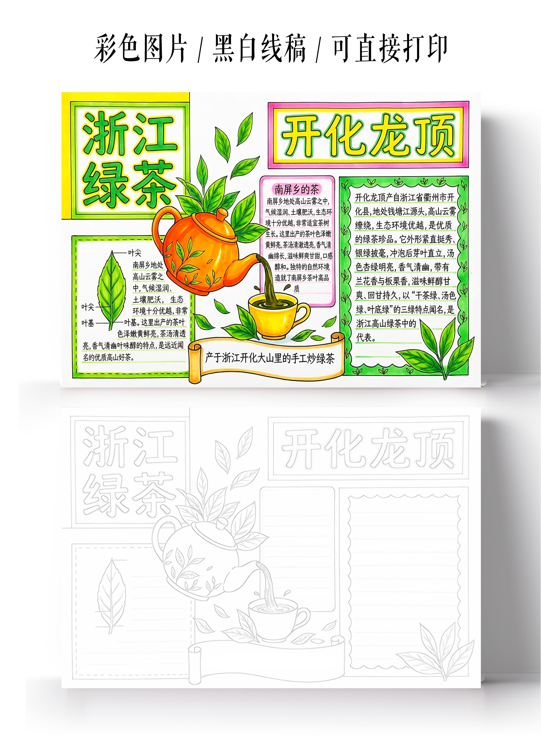 彩色卡通手绘浙江绿茶小报手抄报小学生手抄报