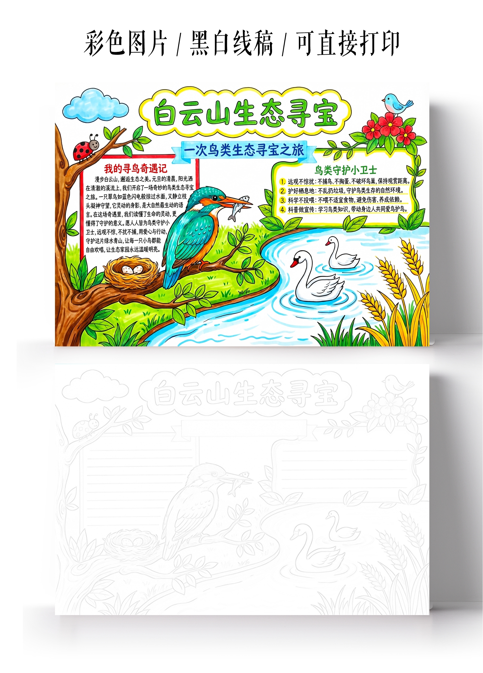 彩色卡通手绘白云山生态寻宝小报手抄报小学生手抄报